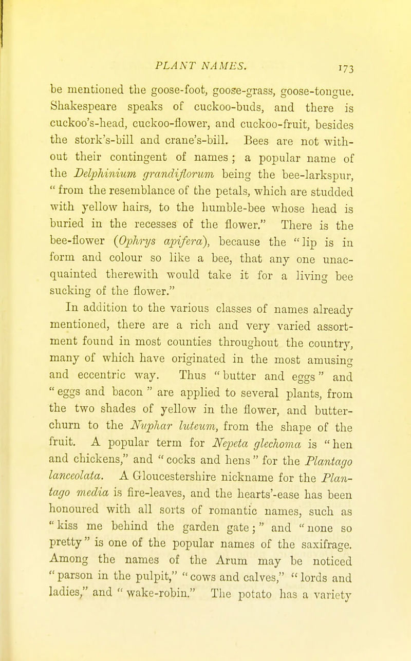 be mentioned the goose-foot, goose-grass, goose-tongue. Shakespeare speaks of cuckoo-buds, and there is cuckoo's-head, cuckoo-flower, and cuckoo-fruit, besides the stork's-bill and crane's-bill. Bees are not with- out their contingent of names ; a popular name of the Delphinium grandijiorum being the bee-larkspur,  from the resemblance of the petals, which are studded with yellow hairs, to the humble-bee whose head is buried in the recesses of the ilower, There is the bee-flower {Ophrys apifera), because the lip is in form and colour so like a bee, that any one unac- quainted therewith would take it for a livinCT bee sucking of the flower. In addition to the various classes of names already mentioned, there are a rich and very varied assort- ment found in most counties throughout the country, many of which have originated in the most amusing and eccentric way. Thus  butter and eggs and  eggs and bacon  are applied to several plants, from the two shades of yellow in the flower, and butter- churn to the Nupliar luteum, from the shape of the fruit. A popular term for Nepeta glechoma is hen and chickens, and  cocks and hens  for the Plantago lanceolata. A Gloucestershire nickname for the Plan- tago media is fire-leaves, and the hearts'-ease has been honoured with all sorts of romantic names, such as  kiss me behind the garden gate;  and  none so pretty is one of the popular names of the saxifrage. Among the names of the Arum may be noticed  parson in the pulpit,  cows and calves,  lords and ladies, and  wake-robin. The potato has a variety