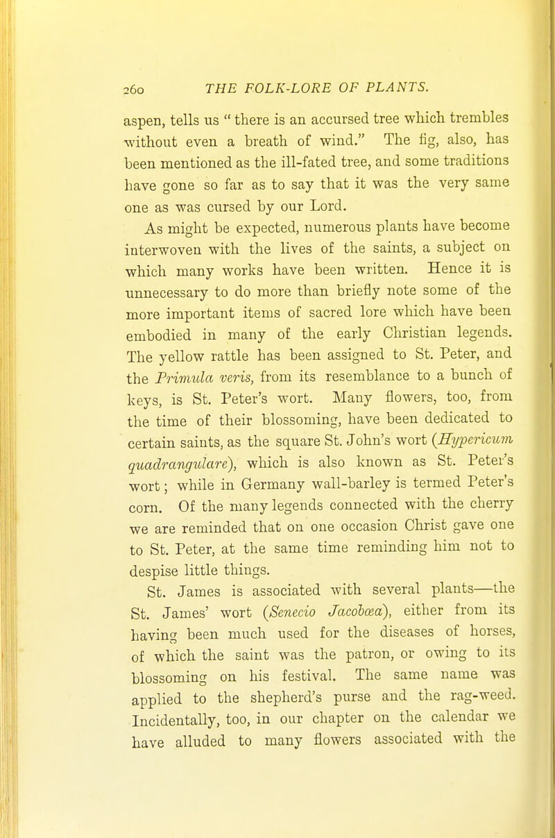 aspen, tells us  there is an accursed tree which trembles without even a breath of wind. The fig, also, has been mentioned as the ill-fated tree, and some traditions have gone so far as to say that it was the very same one as was cursed by our Lord. As might be expected, numerous plants have become interwoven with the lives of the saints, a subject on which many works have been written. Hence it is unnecessary to do more than briefly note some of the more important items of sacred lore which have been embodied in many of the early Christian legends. The yellow rattle has been assigned to St. Peter, and the Primula veris, from its resemblance to a bunch of keys, is St. Peter's wort. Many flowers, too, from the time of their blossoming, have been dedicated to certain saints, as the square St. John's wort {Eypericum quadrangulare), which is also known as St. Peter's wort; while in Germany wall-barley is termed Peter's corn. Of the many legends connected with the cherry we are reminded that on one occasion Christ gave one to St. Peter, at the same time reminding him not to despise little things. St. James is associated with several plants—the St. James' wort {Senecio Jacohcea), either from its having been much used for the diseases of horses, of which the saint was the patron, or owing to its blossoming on his festival. The same name was applied to the shepherd's purse and the rag-weed. Incidentally, too, in our chapter on the calendar we have alluded to many flowers associated with the