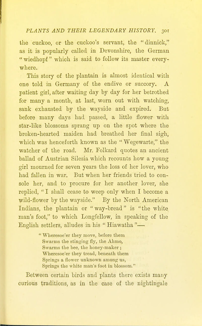 the cuckoo, or the cuckoo's servant, the dinnick, as it is popularly called in Devonshire, the German  Wiedhopf which is said to follow its master every- where. This story of the plantain is almost identical with one told in Germany of the endive or succory. A patient girl, after waiting day by day for her betrothed for many a month, at last, worn out with watching, sank exhausted by the wayside and expired. But before many days had passed, a little flower with star-like blossoms sprang up on the spot where the broken-hearted maiden had breathed her final sigh, which was henceforth known as the  Wegewarte, the watcher of the road, Mr. Tolkard quotes an ancient ballad of Austrian Silesia which recounts how a young girl mourned for seven years the loss of her lover, who had fallen in war. But when her friends tried to con- sole her, and to procure for her another lover, she replied,  I shall cease to weep only when I become a wild-flower by the wayside. By the North American Indians, the plantain or way-bread is the white man's foot, to which Longfellow, in speaking of the English settlers, alludes in his  Hiawatha —  Wheresoe'er they move, before them Swarms the stinging fly, the Alimo, Swarms the bee, the honey-maker ; Wheresoe'er they tread, beneath them Springs a flower unknown among us. Springs the white man's foot in blossom. Between certain birds and plants there exists many curious traditions, as in the case of the nightingale