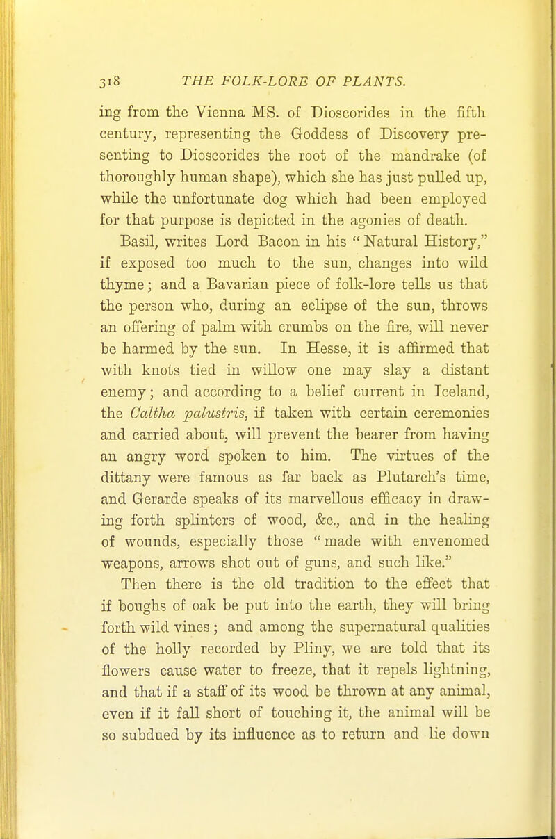 ing from the Vienna MS. of Dioscorides in the fifth century, representing the Goddess of Discovery pre- senting to Dioscorides the root of the mandrake (of thoroughly human shape), which she has just pulled up, while the unfortunate dog which had been employed for that purpose is depicted in the agonies of death. Basil, writes Lord Bacon in his  Natural History, if exposed too much to the sun, changes into wild thyme; and a Bavarian piece of folk-lore tells us that the person who, during an eclipse of the sun, throws an offering of palm with crumbs on the fire, will never be harmed by the sun. In Hesse, it is affirmed that with knots tied in willow one may slay a distant enemy; and according to a belief current in Iceland, the Caltha palustris, if taken with certain ceremonies and carried about, will prevent the bearer from having an angry word spoken to him. The virtues of the dittany were famous as far back as Plutarch's time, and Gerarde speaks of its marvellous efficacy in draw- ing forth splinters of wood, &c., and in the healing of wounds, especially those made with envenomed weapons, arrows shot out of guns, and such like. Then there is the old tradition to the effect that if boughs of oak be put into the earth, they will bring forth wild vines ; and among the supernatural qualities of the holly recorded by Pliny, we are told that its flowers cause water to freeze, that it repels lightning, and that if a staff of its wood be thrown at any animal, even if it fall short of touching it, the animal will be so subdued by its influence as to return and lie down