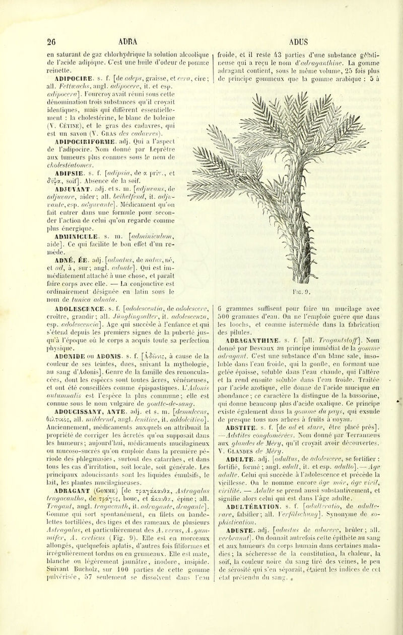 en saturant de gaz chlorhj'drique la solution alcoolique de l'acide adipique. C'est une huile d'odeur de pomme reinette. adipoo.ire. s. f. [de adeps, graisse, et cera, cire; ail. FettwacJis, angl. adipocere, it. et esp. adipocera]. Fourcroy avait réuni sous cette dénomination trois substances qu'il croyait identiques, mais qui différent essentielle- ment : la cholestérine, le blanc de baleine (V. CétîNé), et le gras des cadavres, qui est un savon (V. Gras des cadavres). ABII'OCIRIFORME. adj. Qui a l'aspect de l'adipocire. Norii donné par Leprétre aux tumeurs plus connues sous le nom de cholestéatàtnes'. ADII'SIE. s. f. [adipsia, de a prit.s et Svh%, soit']. Absence de la soif. ADJUVANT, adj. et s. m. [adjuvans, de adjuvare, aider; ail. beihelfend, it. adju- vante, esp. adyuvanté]. Médicament qu'on fait entrer dans une formule pour secon- der l'action de celui qu'on regarde comme plus énergique. ADMINICULE. s. m. [adminiculum, aide]. Ce cpii facilite le bon effet d'un re- mède, ADNÉ, ÉE. adj. [adnatus', àenatus,né, et ad, à, sur; angl. minuté]. Qui est im- médiatement attaché aune chose, et paraît faire corps avec elle. — La conjonctive est ordinairement désignée en latin sous le nom de tunica adnata. ADOLESCENCE, s. f. [adolescentia, de adoles'cere, croître, grandir; ail. Jûnglingsalter, it. adolescenza, esp. adolesçencid\. Age qui succède à l'enfance et qui s'étend depuis les premiers signes de la puberté jus- qu'à l'époque où le corps a acquis toute sa perfection physique. ADON1DE ou ADONIS, s. f. [.V5wvt.;, à cause delà couleur de ses teintes, dues, suivant la mythologie, au sang d'Adonis]. Genre de la famille des renoncula- cées, dont les espèces sont toutes acres, vénéneuses, et ont été conseillées comme épispasliques. VAdonis autumnalis est l'espèce la plus commune; elle est connue sous le nom vulgaire de goutte-de-sang. ADOUCISSANT, AN TE. adj. et s. m. [demulcens, ÔîXtwcôî, ail. mildernd, angl. leuitive, it. addolcitivo]. Anciennement, médicaments auxquels on attribuait la propriété de corriger les âcretés qu'on supposait dans les humeurs; aujourd'hui, médicaments mucilagineux ou mucoso-sucrés qu'on emploie dans la première pé- riode des phlegmasies, surtout des catarrhes, et dans tous les cas d'irritation, soit locale, soit générale. Les principaux adoucissants sont les liquides émulsifs, le lait, les plantes mucilaghieuses. ADRACANT (Gomme) [de Tpa-yâxavôa, Astragalus tragacantha, de Tsa-j-cç, bouc, et cl/mO-j., épine; ail. Tragant, angl. tragacantha it. adragante, dragante]. Gomme qui sort spontanément, en fdets ou bande- lettes tortillées, des tiges et des rameaux de plusieurs Astragalus, et particulièrement des A. verus, A.gum- mifer, A. creticus (Fig. 9). Elle est en morceaux allongés, quelquefois aplatis, d'autres fois filiformes et irrégulièrement tordus ou en grumeaux. Elle est mate, blanche ou légèrement jaunâtre, inodore, insipide. Suivant Bucholz, sur 100 parties de celte gomme pulvérisée, 57 seulement se dissolvent dans l'eau froide, et il reste 43 parties d'une substance gélati- neuse qui a reçu le nom A'adraganthine. La gomme adragant contient, sous le môme volume, 25 fois plus de principe gommeux que la gomme arabique : 5 à Fie. 9. G grammes suffisent pour faire un mucilage avec 500 grammes d'eau. On ne l'emploie guère que dans les looehs, et comme intermède dans la fabrication des pilules. ADRAGANTH1NE. s. f. [ail. Traga itlstoff}. Nom donné par Desvaux au principe immédiat de la gomme adragant. C'est une substance d'un blanc sale, inso- luble dans l'eau froide, qui la gonfle, en formant une gelée épaisse, soluble dans l'eau chaude, qui l'altère et la rend ensuite soluble dans l'eau froide. Traitée par l'acide azotique, elle donne de l'acide mucique en abondance; ce caractère la distingue de la bassorine, qui donne beaucoup plus d'acide oxalique. Ce principe existe également dans la gomme diipays, qui exsude de presque tous nos arbres à fruits à noyau. ADSTITE. s. f. [de ad et starp, être placé près]. —Adstites conglomérées. Nom donné par Terrauneus aux glandes dé Méry, qu'il croyait avoir découvertes. V. Glandes de Mèry. ADULTE, adj. [adultus, de âdolesbere, se fortifier : fortifié, formé ; angl. adult, it. et esp. adulto].— Age adulte. Celui qui succède à l'adolescence et précède la vieillesse. On le nomme encore âge mûr, àgr viril, virilité. —■ Adulte se prend aussi substantivement, et signifie alors celui qui est dans l'âge adulte. ADULTÉRATION, s. f. [adulteratio, de adulte' rare, falsifier; ail. Verfiilschung], Synonyme de so- phistication. ADUSTE. adj. [adustus de adurere, brûler; ail. verbrnnnt]. On donnait autrefois celte épithète au sang et aux humeurs du corps humain dans certaines mala- dies; la sécheresse de la constitution, la chaleur, la soif, la couleur noire du sang tiré des veines, le peu de sérosité qui s'en séparait, étaient les indices de cet cl al prétendu du sang. ,