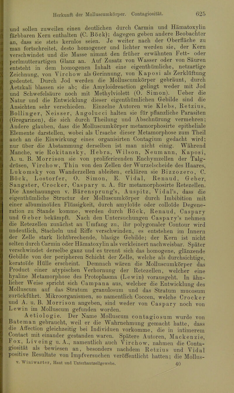 und sollen zuweilen einen deutlichen durch Carmin und Hämatoxylin färbbaren Kern enthalten (C. Böck); dagegen geben andere Beobachter an, dass sie stets kernlos seien. Je weiter nach der Oberfläche zu man fortschreitet, desto homogener and lichter werden sie, der Kern verschwindet und die Masse nimmt den früher erwähnten Fett- oder perlmutterartigen Glanz an. Auf Zusatz von Wasser oder von Säuren entsteht in dem homogenen Inhalt eine eigenthümliche, netzartige Zeichnung, von Virchow als Gerinnung, von Kaposi als Zerklüftung gedeutet. Durch Jod werden die Molluscumkörper gebräunt, durch Aetzkali blassen sie ab; die Amyloidreaction gelingt weder mit Jod und Schwefelsäure noch mit Methylviolett (0. Simon). Ueber die Natur und die Entwicklung dieser eigenthümlichen Gebilde sind die Ansichten sehr verschieden. Einzelne Autoren wie Klebs, Retzius, Bollinger, Neisser, Angolucci halten sie für pflanzliche Parasiten (Gregarinen), die sich durch Theilung und Abschnürung vermehren; Andere glauben, dass die Molluscumkörper metamorphosirte epitheliale Elemente darstellen, wobei als Ursache dieser Metamorphose zum Theil auch an die Einwirkung eines organisirten Contagium gedacht wird; nur über die Abstammung derselben ist man nicht einig. Während Manche, wie Rokitansky, Hebra, Wilson, Neumann, Kaposi, A. u. B. Morrison sie von proliferirenden Enchymzellen der Talg- drüsen, Virchow, Thin von den Zellen der Wurzelscheide des Haares, Lukomsky von Wanderzellen ableiten, erklären sie Bizzozero, C. Böck, Lostorfer, 0. Simon, E. Vidal, Renaud, Geber, Sangster, Crocker, Caspary u. A. für metauiorphosirte Retezellen. Die Anschauungen v. Bärensprung's, Auspitz, Vidal's, dass die eigenthümliche Structur der Molluscumkörper durch Imbibition mit einer albumino'iden Flüssigkeit, durch amyloi'de oder colloi'de Degene- ration zu Stande komme, werden durch Böck, Renaud, Caspary und Geber bekämpft. Nach den Untersuchungen Caspary's nehmen die Retezellen zunächst an Umfang zu, ihr polygonaler Contour wird undeutlich, Stacheln und Riffe verschwinden, es entstehen im Innern der Zelle stark lichtbrechende, blasige Gebilde; der Kern ist nicht selten durch Carmin oder Hämatoxylin als verkleinert nachweisbar. Später verschwindet derselbe ganz und es trennt sich das homogene, glänzende Gebilde von der peripheren Schicht der Zelle, welche als durchsichtige, keratoide Hülle erscheint. Demnach wären die Molluscumkörper das Product einer atypischen Verhornung der Retezellen, welcher eine hyaline Metamorphose des Protoplasma (Lewin) vorausgeht. In ähn- licher Weise spricht sich Campana aus, welcher die Entwicklung des Molluscum auf das Stratum granulosum und das Stratum mucosum zurückführt. Mikroorganismen, so namentlich Coccen, welche Crocker und A. u. B. Morrison angeben, sind weder von Caspary noch von Lewin im Molluscum gefunden worden. Aetiologie. Der Name Molluscum contagiosum wurde von Bateman gebraucht, weil er die Wahrnehmung gemacht hatte, dass die Affection gleichzeitig bei Individuen vorkomme, die in intimerem Contact miteinander gestanden waren. Spätere Autoren, Mackenzie, Fox, Liveing U.A., namentlich auch Virchow, nahmen die Conta- giosität als bewiesen an, besonders nachdem Retzius und Vidal positive Resultate von Impfversuchen veröffentlicht hatten; die Mollus- v. Winiwarter, Haut und Unterhautzellgewebe. 40