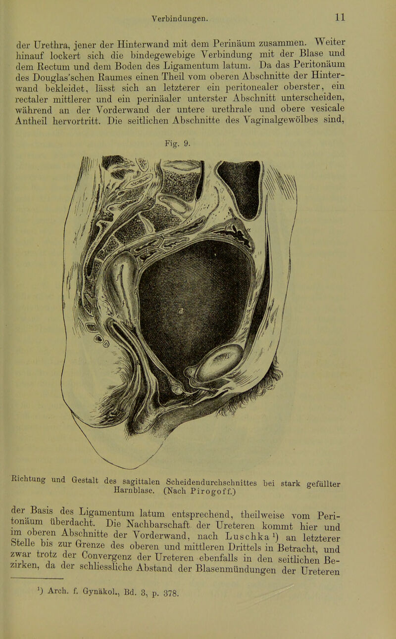 Verbindungen. der Urethra, jener der Hinterwand mit dem Perinäum zusammen. Weiter hinauf lockert sich die bindegewebige Verbindung mit der Blase und dem Rectum und dem Boden des Ligamentum latum. Da das Peritonäum des Douglas'schen Raumes einen Theil vom oberen Abschnitte der Hinter- wand bekleidet, lässt sich an letzterer ein peritonealer obersterein rectaler mittlerer und ein perinäaler unterster Abschnitt unterscheiden, während an der Vorderwand der untere urethrale und obere vesicale Antheil hervortritt. Die seitlichen Abschnitte des Vaginalgewölbes sind, Fig. 9. Richtung und Gestalt des sagittalen Sclieidendurchsclinittes bei stark gefüllter Harnblase. (Nach Pirogoff.) der Basis des Ligamentum latum entsprechend, theil weise vom Peri- tonäum überdacht. Die Nachbarschaft, der Ureteren kommt hier und im oberen Abschnitte der Vorderwand, nach Luschka^) an letzterer bteüe bis zur Grenze des oberen und mittleren Drittels in Betracht und zwar trotz der Convergenz der Ureteren ebenfaUs in den seitlichen Be- zirken, da der schliessliche Abstand der Blasenmündungen der Ureteren 1) Arch. f. Gynäkol., Bd. 3, p. 378.