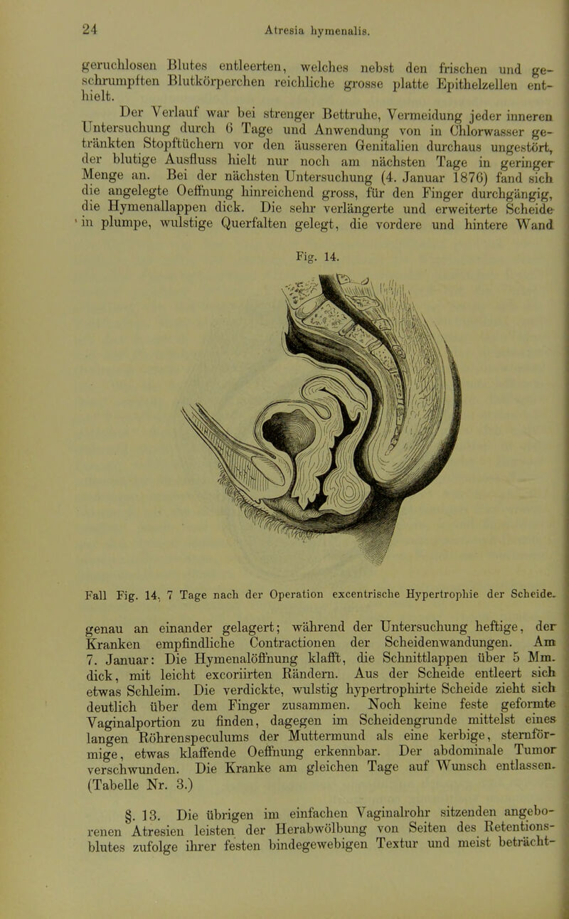 geruchlosen Blutes entleerten, welches nebst den frischen und ge- schrumpften Blutkörperchen reichliche grosse platte Epithelzellen ent- hielt. Der Verlauf war bei strenger Bettruhe, Vermeidung jeder inneren Untersuchung durch 6 Tage und Anwendung von in Chlorwasser ge- tränkten Stopftüchern vor den äusseren Genitalien durchaus ungestört, der blutige Ausfluss hielt nur noch am nächsten Tage in geringer Menge an. Bei der nächsten Untersuchung (4. Januar 1876) fand sich die angelegte Oeffnung hinreichend gross, für den Finger durchgängig, die Hymenallappen dick. Die sehr verlängerte und erweiterte Scheide •in plumpe, wulstige Querfalten gelegt, die vordere und hintere Wand Fig. 14. Fall Fig. 14, 7 Tage nach der Operation excentrische Hypertrophie der Scheide- genau an einander gelagert; während der Untersuchung heftige, der Kranken empfindliche Contractionen der Scheidenwandungen. Am 7. Januar: Die Hymenalööhung klafft, die Schnittlappen über 5 Mm. dick, mit leicht excoriirten Rändern. Aus der Scheide entleert sich etwas Schleim. Die verdickte, wulstig hypertrophirte Scheide zieht sich deutlich über dem Finger zusammen. Noch keine feste geformte Vaginalportion zu finden, dagegen im Scheidengrunde mittelst eines langen Röhrenspeculums der Muttermund als eine kerbige, sternför- mige, etwas klaffende Oeffnung erkennbar. Der abdominale Tumor verschwunden. Die Kranke am gleichen Tage auf Wunsch entlassen. (Tabelle Nr. 3.) §. 13. Die übrigen im einfachen Vaginalrohr sitzenden angebo- renen Atresien leisten der Herabwölbung von Seiten des Retentions- blutes zufolge ihrer festen bindegewebigen Textur und meist beträcht-