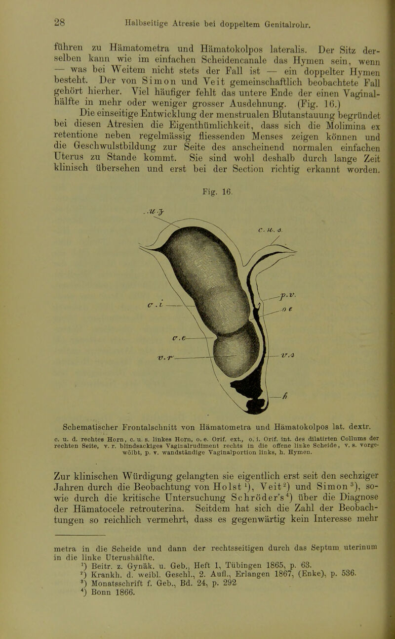 Halbseitige Atresie bei doppeltem Genitalrohr. füliren zu Hämatometra und Hämatokolpos lateralis. Der Sitz der- selben kann wie im einfachen Scheidencanale das Hymen sein, wenn — was bei Weitem nicht stets der Fall ist — ein doppelter Hymen besteht. Der von Simon und Veit gemeinschaftlich beobachtete Fall gehört hierher. Viel häufiger fehlt das untere Ende der einen Vaginal- hälfte in mehr oder weniger grosser Ausdehnung. (Fig. 16.) Die einseitige Entwicklung der menstrualen Blutanstauung begründet bei diesen Atresien die Eigenthümlichkeit, dass sich die Molimina ex retentione neben regelmässig fliessenden Menses zeigen können und die Geschwulstbildung zur Seite des anscheinend normalen einfachen Uterus zu Stande kommt. Sie sind wohl deshalb durch lange Zeit klinisch übersehen und erst bei der Section richtig erkannt worden. Fig. 16. Schematischer Froiitalschnitt von Hämatometra und Hämatokolpos lat. dextr. c. u. d. rechtes Horn, c. u. s. linkes Horn, o. e. Orlf. ext., o. i. Orif. Int. des dllatirten Collums der rechten Seite, v. r. bllndsackiges Vaginalrudimeut rechts in die offene linke Scheide, v. s. vorge- wölbt, p. V. wandständige Vaginalportion links, h. Hymen. Zur klinischen Würdigung gelangten sie eigentlich erst seit den sechziger Jahren durch die Beobachtung von HolstVeif^) und Simon ^), so- wie durch die kritische Untersuchung Schröder's^) über die Diagnose der Hämatocele retrouterina. Seitdem hat sich die Zahl der Beobach- tungen so reiclilich vermehrt, dass es gegenwärtig kein Interesse mehr metra in die Scheide und dann der rechtsseitigen durch das Septum uterinum in die linke Uterushälfte. ') Beitr. z. Gynäk. u. Geb., Heft 1, Tübingen 1865, p. 63. 0 Krankh. d. weibl. Geschl., 2. Aufl., Erlangen 1867, (Enke), p. 536. Monatsschrift f. Geb., Bd. 24, p. 292 ^) Bonn 1866.