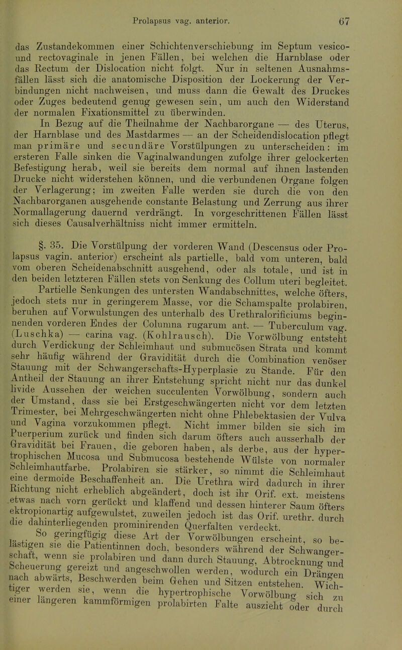 das Znstandekommen einer Schichtenverschiebimg im Septum vesico- und rectovaginale in jenen Fällen, bei welchen die Harnblase oder das Rectum der Dislocation nicht folgt. Nur in seltenen Ausnahms- fällen lässt sich die anatomische Disposition der Lockerung der Ver- bindungen nicht nachweisen, und muss dann die Gewalt des Druckes oder Zuges bedeutend genug gewesen sein, um auch den Widerstand der normalen Fixationsmittel zu überwinden. In Bezug auf die Theilnahme der Nachbarorgane — des Uterus, der Harnblase und des Mastdarmes — an der Scheidendislocation pflegt man primäre und secundäre Vorstülpungen zu unterscheiden: im ersteren Falle sinken die Vaginalwandungen zufolge ihrer gelockerten Befestigung herab, weil sie bereits dem normal auf ihnen lastenden Drucke nicht widerstehen können, und die verbundenen Organe folgen der Verlagerung; im zweiten Falle werden sie durch die von den Nachbarorganen ausgehende constante Belastung und Zerrung aus ihrer Normallagerung dauernd verdrängt. In vorgeschrittenen Fällen lässt sich dieses Causalverhältniss nicht immer ermitteln. §. 35. Die Vorstülpung der vorderen Wand (Descensus oder Pro- lapsus vagin. anterior) erscheint als partielle, bald vom unteren, bald vom oberen Scheidenabschnitt ausgehend, oder als totale, und ist in den beiden letzteren Fällen stets von Senkung des Collum uteri begleitet. Partielle Senkungen des untersten Wandabschnittes, welche öfters* jedoch stets nur in geringerem Masse, vor die Schamspalte prolabiren' beruhen auf Vorwulstungen des unterhalb des Urethralorificiums beo-in- nenden vorderen Endes der Colunina rugarum ant. — Tuberculum vag (Luschka) — carina vag. (Kohlrausch). Die Vorwölbung entsteht durch Verdickung der Schleimhaut und submucösen Strata und kommt sehr häufig während der Gravidität durch die Combination venöser Stauung mit der Schwangerschafts-Hyperplasie zu Stande. Für den Antheü der Stauung an ihrer Entstehung spricht nicht nur das dunkel hvide Aussehen der weichen succulenten Vorwölbung, sondern auch der Umstand, dass sie bei Erstgeschwängerten nicht vor dem letzten Trimester, bei Mehrgeschwängerten nicht ohne Phlebektasien der Vulva und Vagina vorzukommen pflegt. Nicht immer bilden sie sich im Fuerperium zurück und finden sich darum öfters auch ausserhalb der Gravidität bei Frauen, die geboren haben, als derbe, aus der hvper- trophischen Mucosa und Submucosa bestehende Wülste von normaler Schleimhautfarbe. Prolabiren sie stärker, so nimmt die Schleimhaut eme dermoide Beschafienheit an. Die Urethra wird dadurch in ihrer Richtung nicht erhebhch abgeändert, doch ist ihr Orif. ext. meisten, etwas nach vorn gerückt und klafi^end und dessen hinterer Saum öfters ektropionartig aufgewulstet, zuweilen jedoch ist das Orif. urethr. durch die dahmterhegenden prominirenden Querfalten verdeckt. bo geringfögig diese Art der Vorwölbungen erscheint, so be- lastigen sie die Patientinnen doch, besonders während der Schwanger- schaft, wenn sie prolabiren und dann durch Stauung, Abtrocknung und Scheuerung gereizt und angeschwollen werden, wodurch ein Drängen nach abwärts, Beschwerden beim Gehen und Sitzen entstehen W^^h tiger werden sie, wenn die hypertrophische Vorwölbung ' sich zü einer längeren kammförmigen prolabirten Falte auszieht oder durc