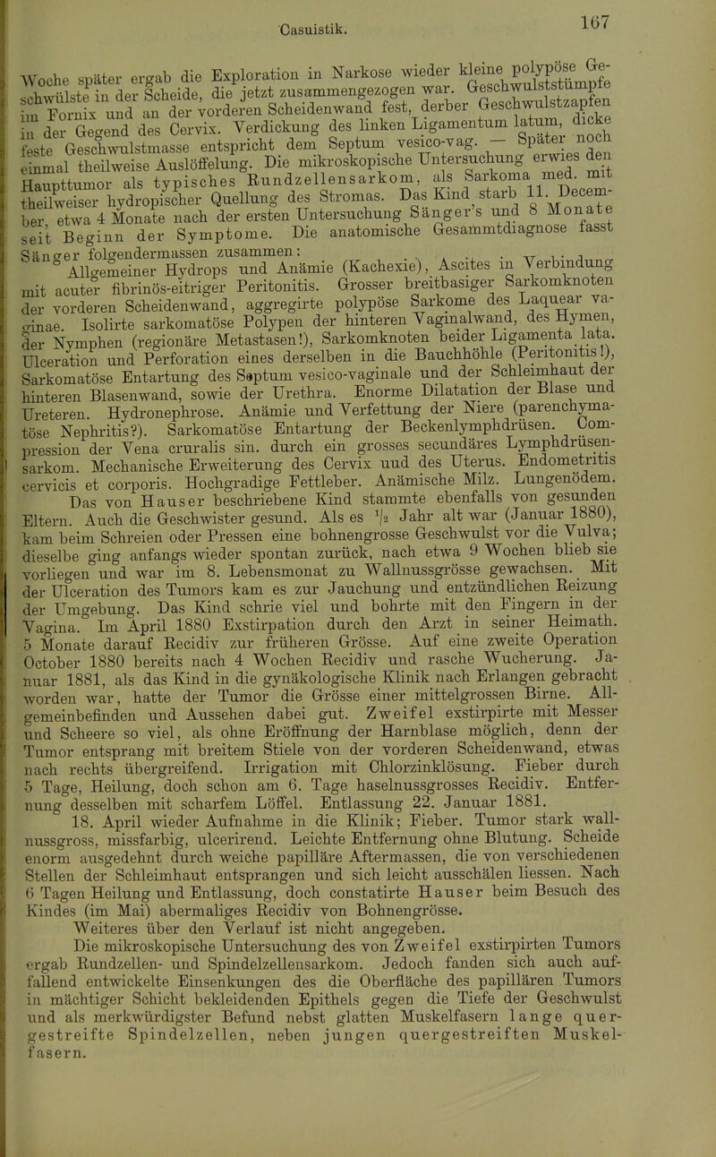 Woche später ergab die Exploration in Narkose wieder kleine pojy^^^^ ^Ph^vülste in der Scheide, die jetzt zusammengezogen war. Geschwaiststumpie ÄxSx und an der ;orderen Scheidenwand fest, derber Geschwulstzapfen n derOeynd dTs Cervix. Verdickung des linken Ligamentum latu^ dicke fft«!te Geschwulstmasse entspricht dem Septum vesico-vag. - Spater nocü ' ^mal thSiseAuslöfeeluS^ Die mikroskopische Untersuchung erwxes den HmTnttumor als typisches Eundzellensarkom, als Sarkoma med. mit theXeSrhyd^^^^^^^ Quellung des Stromas. Das Kind starb 11- Decem- bet etwa 4 Monate nach der ersten Untersuchung Sänger's und 8 Monate seit Beginn der Symptome. Die anatomische Gesammtdiagnose fasst Sänc^er folgendermassen zusammen: • tt i,- j „ ° Allgemeiner Hydrops und Anämie (Kachexie), Ascites in Verbindung mit acuter fibrinös-eitriger Peritonitis. Grosser breitbasiger Sarkomknoten der vorderen Scheidenwand, aggregirte polypöse Sarkome des Laquear ya- crinae Isolirte sarkomatöse Polypen der hinteren Vaginalwand, des Hymen, der Nymphen (regionäre Metastasen!), Sarkomknoten beider Ligamenta lata, ülceration und Perforation eines derselben in die Bauchhöhle (Peritonitis!), Sarkomatöse Entartung des Septum yesico-vaginale und der Schleimhaut üer hinteren Blasenwand, sowie der Urethra. Enorme Dilatation der Blase und Ureteren. Hydronephrose. Anämie und Verfettung der Niere (parenchyma- töse Nephritis?). Sarkomatöse Entartung der Beckenlymphdrusen Kom- pression der Vena cruralis sin. durch ein grosses secundäres Lymphdrusen- sarkom. Mechanische Erweiterung des Cervix uud des Uterus. Endometritis cervicis et corporis. Hochgradige Fettleber. Anämische Milz. Lungenödem. Das von Haus er beschriebene Kind stammte ebenfalls von gesunden Eltern. Auch die Geschwister gesund. Alses Jahr alt war (Januar 1880), kam beim Schreien oder Pressen eine bohnengrosse Geschwulst vor die Vulva; dieselbe ging anfangs wieder spontan zurück, nach etwa 9 Wochen bheb sie vorliegen und war im 8. Lebensmonat zu Wallnussgrösse gewachsen. Mit der Ülceration des Tumors kam es zur Jauchung und entzündlichen Eeizung der Umgebung. Das Kind schrie viel und bohrte mit den Fingern in der Vagina.° Im April 1880 Exstirpation durch den Arzt in seiner Heimath. 5 Monate darauf Recidiv zur früheren Grösse. Auf eine zweite Operation October 1880 bereits nach 4 Wochen Recidiv und rasche Wucherung. Ja- nuar 1881, als das Kind in die gynäkologische Klinik nach Erlangen gebracht . worden war, hatte der Tumor die Grösse einer mittelgrossen Birne. All- gemeinbefinden und Aussehen dabei gut. Zweifel exstirpirte mit Messer und Scheere so viel, als ohne Eröffnung der Harnblase möglich, denn der Tumor entsprang mit breitem Stiele von der vorderen Scheidenwand, etwas nach rechts übergreifend. Irrigation mit Chlorzinklösung. Fieber durch 5 Tage, Heilung, doch schon am 6. Tage haselnussgrosses Recidiv. Entfer- nung desselben mit scharfem Löffel. Entlassung 22. Januar 1881. 18. April wieder Aufnahme in die Klinik; Fieber. Tumor stark wall- nussgross, missfarbig, ulcerirend. Leichte Entfernung ohne Blutung. Scheide enorm ausgedehnt durch weiche papilläre Aftermassen, die von verschiedenen Stellen der Schleimhaut entsprangen und sich leicht ausschälen Hessen. Nach 6 Tagen Heilung und Entlassung, doch constatirte Hauser beim Besuch des Kindes (im Mai) abermaliges Recidiv von Bohnengrösse. Weiteres über den Verlauf ist nicht angegeben. Die mikroskopische Untersuchung des von Zweifel exstirpirten Tumors ergab Rundzellen- und Spindelzellensarkom. Jedoch fanden sich auch auf- fallend entwickelte Einsenkungen des die Oberfläche des papillären Tumors in mächtiger Schicht bekleidenden Epithels gegen die Tiefe der Geschwulst und als merkwürdigster Befund nebst glatten Muskelfasern lange quer- gestreifte Spindelzellen, neben jungen quergestreiften Muskel- fasern.