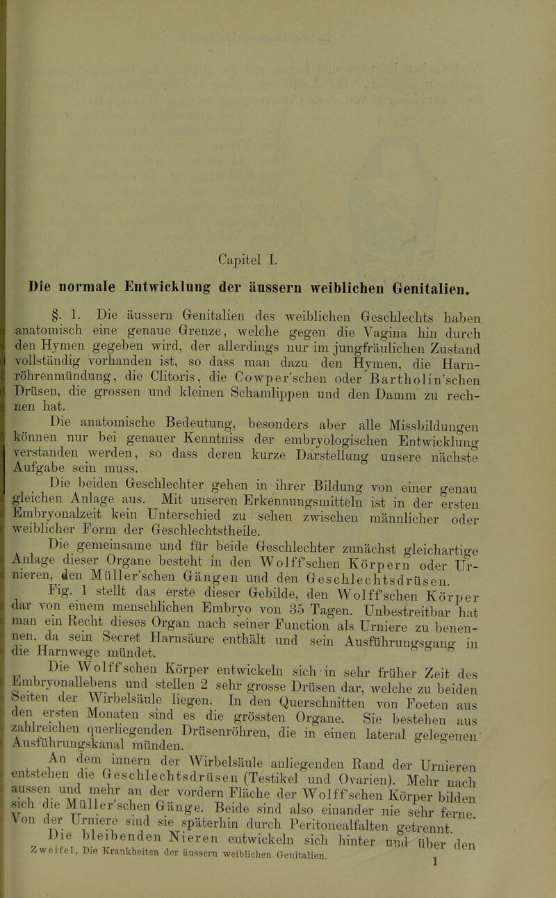 Die normale Entwicklung der äussern weiblichen Genitalien. §. 1. Die äussern Grenitalien des weiblichen Geschlechts haben anatomisch eine genaue Grenze, welche gegen die Vagina hin durch den Hymen gegeben wird, der allerdings nur im jungfräulichen Zustand vollständig vorhanden ist, so dass man dazu den Hymen, die Harn- röhi-enmündung, die Clitoris, die Cowper'schen oder Bartholin'schen Drüsen, die grossen und kleinen Schamlippen und den Damm zu rech- nen hat. Die anatomische Bedeutung, besonders aber alle Missbildungen können nur bei genauer Kenntniss der embryologischen Entwickluno- verstanden werden, so dass deren kurze Darstellung unsere nächste Aufgabe sein muss. Die beiden Geschlechter gehen in ihrer Bildung von einer o-enau gleichen Anlage aus. Mit unseren Erkennungsmitteln ist in der ersten Embryonalzeit kein Unterschied zu sehen zwischen männlicher oder weiblicher Form der Geschlechtstheile. Die gemeinsame und für beide Geschlechter zunächst gleichartige Anlage dieser Organe besteht in den Wolffschen Körpern oder Ur- nieren, den Müller'schen Gängen und den Geschlechtsdrüsen. Flg. 1 stellt das erste dieser Gebilde, den Wolffschen Körper dar von emem menschlichen Embryo von 35 Tagen. Unbestreitbar hat man em Kecht dieses Organ nach seiner Function als Urniere zu benen- nen, da sein Secret Harnsäure enthält und sein Ausführungsgano- in die Harnwege mündet. Die Wolffschen Körper entwickeln sich in sehr früher Zeit des EmbryonaUebens und stellen 2 sehr grosse Drüsen dar, welche zu beiden beiten der Wirbelsäule liegen. In den Querschnitten von Foeten aus den ersten Monaten sind es die grössten Organe. Sie bestehen aus zahlreichen querliegenden Drüsenröhren, die in einen lateral gelegenen' Austuhrungskanal münden. ° An dem innern der Wirbelsäule anliegenden Rand der Urnieren entstehen die Geschlechtsdrüsen (Testikel und Ovarien). Mehr nach aussen und mehr an der vordem Fläche der Wolffschen Körper bilden sich die Müller'schen Gänge. Beide sind also einander nie sein- ferne Von der Urniere sind sie späterhin durch Peritonealfalten getrennt ' Die bleibenden Nieren entwickeln sich hinter und über'den