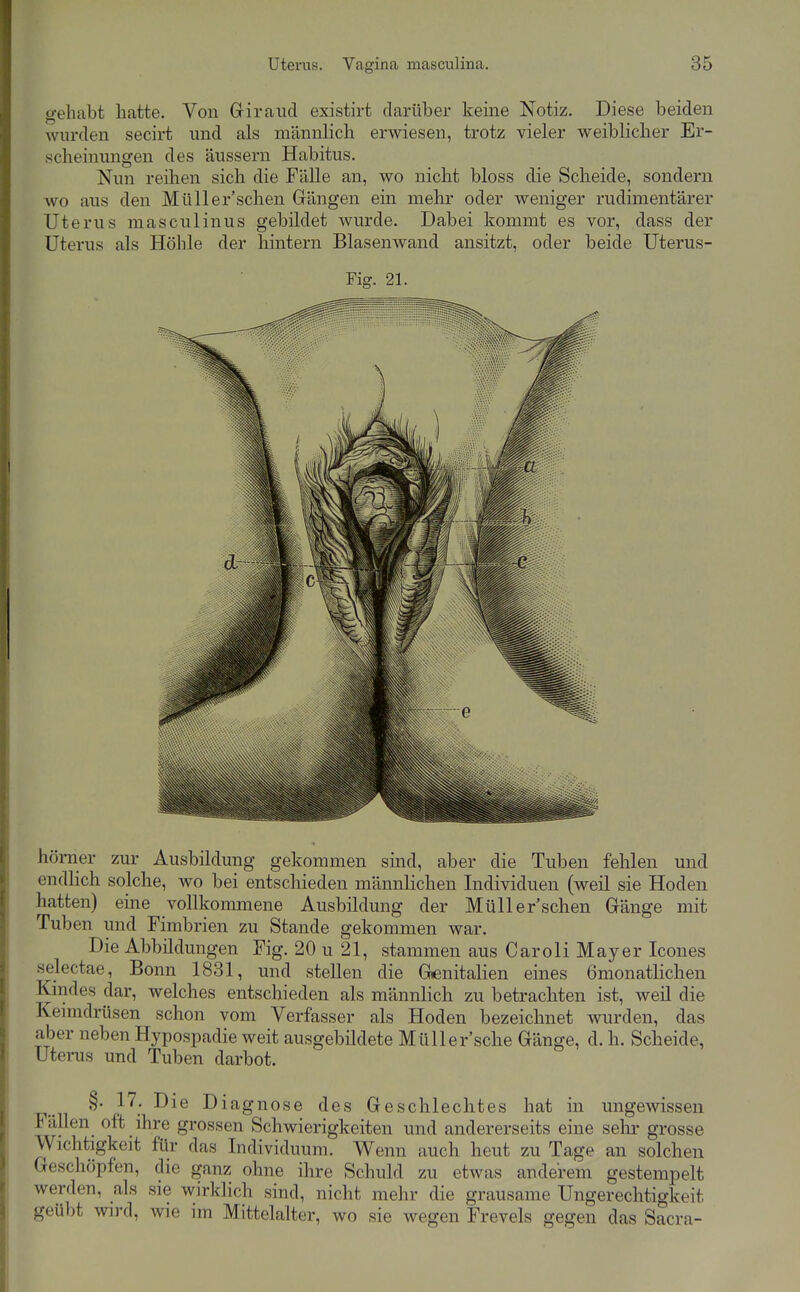 gehabt hatte. Von Giraiid existirt darüber keine Notiz. Diese beiden wurden secirt und als männlich erwiesen, trotz vieler weiblicher Er- scheinungen des äussern Habitus. Nun reihen sich die Fälle an, wo nicht bloss die Scheide, sondern wo aus den Müller'schen Gängen ein mehr oder weniger rudimentärer Uterus masculinus gebildet wurde. Dabei kommt es vor, dass der Uterus als Höhle der hintern Blasenwand ansitzt, oder beide Uterus- Fig. 21. hömer zur Ausbildung gekommen sind, aber die Tuben fehlen und endlich solche, wo bei entschieden männlichen Individuen (weil sie Hoden hatten) eine vollkommene Ausbildung der Müller'schen Gänge mit Tuben und Fimbrien zu Stande gekommen war. Die Abbildungen Fig. 20 u 21, stammen aus Caroli Mayer Icones selectae, Bonn 1831, und stellen die Genitalien eines ömonatlichen Kindes dar, welches entschieden als männlich zu betrachten ist, weil die Keimdrüsen schon vom Verfasser als Hoden bezeichnet wurden, das aber neben Hypospadie weit ausgebildete Müller'sche Gänge, d. h. Scheide, Uterus und Tuben darbot. -p.. 1 ^' Diagnose des Geschlechtes hat in ungewissen Fällen oft ihre grossen Schwierigkeiten und andererseits eine selu- grosse Wichtigkeit für das Individuum. Wenn auch heut zu Tage an solchen Geschöpfen, die ganz ohne ihre Schuld zu etwas anderem gestempelt werden, als sie wirklich sind, nicht mehr die grausame Ungerechtigkeit geübt wird, wie im Mittelalter, wo sie wegen Frevels gegen das Sacra-