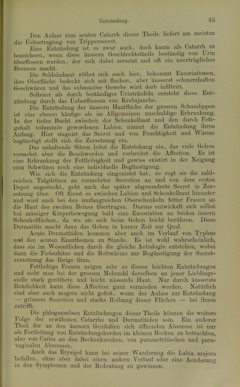 Den Anlass zum acuten Catarrh dieser Theile liefert am meisten die Uebertragung von Trippersecret. Eine Entzündung ist es zwar auch, docli kaum als Catarrh zu bezeichnen, wenn diese äussern Geschlechtstheile beständig von Urm Überflossen werden, der sich dabei zersetzt und oft ein unerträghches Brennen macht. Die Schleimhaut röthet sich auch hier, bekommt Excoriationen, ihre Oberfläche bedeckt sich mit flachen, aber äusserst schmerzhaften Oeschwüren und das submucöse Gewebe wird derb infiltrirt. Seltener als durch beständiges Urinträufeln entsteht diese Ent- zündung durch das Ueberfliessen von Krebsjauche. Die Entzündung der äussern Hautfläche der grossen Schamlippen ist eine ebenso häufige als im Allgemeinen unschuldige Erkrankung. In der tiefen Bucht zwischen der Schenkelliaut und den durch Fett- gehalt voluminös gewordenen Labien nimmt die Entzündung ihren Anfang. Hier stagnirt das Secret und von Feuchtigkeit und Wärme begünstigt stellt sich die Zersetzung ein. Das anhaltende Sitzen leitet die Entstehung ein, das viele Gehen vermehrt aber die Beschwerden und verbreitet die Aff'ection. Es ist eine Erkrankung der Fettleibigkeit und gewiss existirt in der Neigung zum Schwitzen noch eine individuelle Begünstigung. Wie sich die Entzündung eingenistet hat, so regt sie die zalil- reichen Talgdrüsen zu vermehrter Secretion an und von dem ersten Depot angesteckt, geht auch das später abgesonderte Secret m Zer- setzung über. Oft fliesst es zwischen Labien und Schenkelhaut hinunter und wird auch bei den umfangreichen Oberschenkeln fetter Frauen an die Haut des zweiten Beines übertragen. Daraus entwickelt sich selbst bei massiger Körperbewegung bald eine Excoriation an beiden Innern Schenkelflächen, da wo sie sich beim Gehen leicht berühren. Diese Dermatitis macht dann das Gehen in kurzer Zeit zur Qual. Acute Dermatitiden kommen aber auch im Verlauf von Typhus und den acuten Exanthemen zu Stande. Es ist wohl wahrscheinlich, dass sie im Wesentlichen durch die gleiche Aetiologie entstehen, wobei dann die Fieberhitze und die Bettwärme zur Begünstigung der Secret- zersetzung das Ihrige thun. Fettleibige Frauen neigen sehr zu diesen leichten Entzündungen und sieht man bei der grossen Mehrzahl derselben an jeuer Lieblings- stelle stark geröthete und leicht nässende Haut. Nur durch äusserste Reinlichkeit kann diese Afi'ection ganz vermieden werden. Natürlich sind aber auch magere nicht gefeit, wenn der Anlass zur Entzündung — grössere Secretion und starke Reibung dieser Flächen — bei ihnen zutrifft. Die phlegmonösen Entzündungen dieser Theile können die weitere Folge der erwähnten Catarrhe und Dermatitiden sein. Ein anderer Theü der an den äussern Genitalien sich öffnenden Abscesse ist nur als Fortleitung von Entzündungsherden im kleinen Becken zu betrachten, also von Caries an den Beckenknochen, von parametritischen und para- vaginalen Abscessen. Auch das Erysipel kann ]3ei seiner Wanderung die Labia majora befallen, ohne aber dabei einen andern Verlauf oder eine Aenderunr^ in den Symptomen und der Bedeutung zu gewinnen.