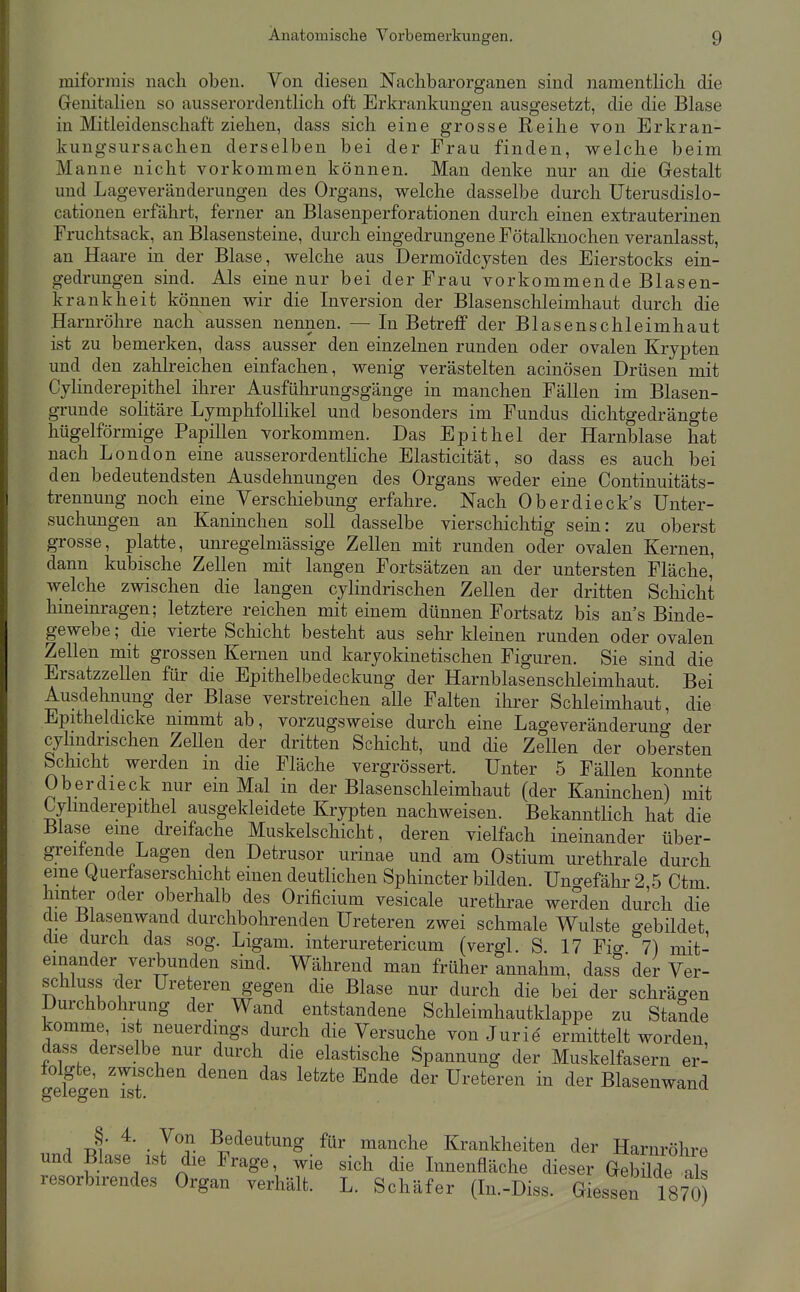 miformis nach oben. Von diesen Nachbar Organen sind namentlich die Genitalien so ausserordentlich oft Erkrankungen ausgesetzt, die die Blase in Mitleidenschaft ziehen, dass sich eine grosse Reihe von Erkran- kungsursachen derselben bei der Frau finden, w^elche beim Manne nicht vorkommen können. Man denke nur au die Gestalt und Lageveränderuugen des Organs, welche dasselbe durch Uterusdislo- cationen erfährt, ferner an Blasenperforationen durch einen extrauterinen Fruchtsack, an Blasensteine, durch eingedrungene Fötalknochen veranlasst, an Haare in der Blase, welche aus Dermoidcysten des Eierstocks ein- gedrungen sind. Als eine nur bei der Frau vorkommende Blasen- krankheit können wir die Inversion der Blasenschleimhaut durch die Harnröhre nach aussen nennen. — In Betreff der Blasenschleimhaut ist zu bemerken, dass ausser den einzelnen runden oder ovalen Krypten und den zahlreichen einfachen, wenig verästelten acinösen Drüsen mit Cylinderepithel ihrer Ausführungsgänge in manchen Fällen im Blasen- grunde solitäre LymphfoUikel und besonders im Fundus dichtgedrängte hügelförmige Papillen vorkommen. Das Epithel der Harnblase hat nach London eine ausserordentliche Elasticität, so dass es auch bei den bedeutendsten Ausdehnungen des Organs weder eine Continuitäts- trennung noch eine Verschiebung erfahre. Nach Oberdieck's Unter- suchungen an Kaninchen soll dasselbe vierschichtig sein: zu oberst grosse, platte, unregelmässige Zellen mit runden oder ovalen Kernen, dann kubische Zellen mit langen Fortsätzen an der untersten Fläche, welche zwischen die langen cylindrischen Zellen der dritten Schicht hineinragen; letztere reichen mit einem dünnen Fortsatz bis ans Binde- gewebe ; die vierte Schicht besteht aus sehr kleinen runden oder ovalen Zellen mit grossen Kernen und karyokinetischen Figuren. Sie sind die Ersatzzellen für die Epithelbedeckung der Harnblasenschleimhaut. Bei Ausdehnung der Blase verstreichen alle Falten ihrer Schleimhaut, die Epitheldicke nimmt ab, vorzugsweise durch eine Lageveränderuno- der cyHndi'ischen Zellen der dritten Schicht, und die Zellen der obersten Schicht werden in die Fläche vergrössert. Unter 5 FäUen konnte Oberdieck nur em Mal in der Blasenschleimhaut (der Kaninchen) mit Cyünderepithel ausgekleidete Krypten nachweisen. Bekanntlich hat die Blase eine dreifache Muskelschicht, deren vielfach ineinander über- greifende Lagen den Detrusor urinae und am Ostium urethrale durch eine Querfaserschicht einen deutlichen Sphincter bilden. Uno-efähr 2 5 Ctm hinter oder oberhalb des Orificium vesicale urethrae wenden durch die die Biasenwand durchbohrenden Ureteren zwei schmale Wulste gebildet die durch das sog. Ligam. interuretericum (vergl. S. 17 Fiff 7) mit- einander verbunden sind. Während man früher annahm, dass'der Ver- schluss -der Ureteren gegen die Blase nur durch die bei der schrägen Durchbohrung der Wand entstandene Schleimhautklappe zu StaSde komme, ist neuerdings durch die Versuche von Juri^ ermittelt worden, dass derselbe nur durch die elastische Spannung der Muskelfasern er- folgte, zwischen denen das letzte Ende der Ureteren in der Blasenwand gelegen ist. ^wctuu A J' ^' • ^^^^^^^ng für manche Krankheiten der Harnröhre und Blase ist die Frage, wie sich die Innenfläche dieser Gebilde als resorbirendes Organ verhält. L. Schäfer (In.-Diss. Glessen 1870)