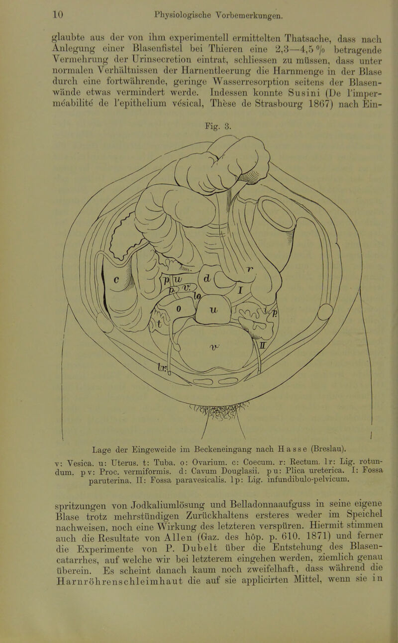 glaubte aus der von ihm experimentell ermittelten Thatsache, dass nach Anlegung einer Blasenfistel bei Thieren eine 2,3—4,5 <'/o betragende Vermehrung der Urinsecretion eintrat, schliessen zu müssen, dass unter normalen Verhältnissen der Harnentleerung die Harnmenge in der Blase durch eine fortwährende, geringe Wasserresorption seitens der Blasen- wände etwas vermindert werde. Indessen konnte Susini (De l'imper- meabilite de Tepithelium väsical, These de Strasbourg 1867) nach Ein- zig. 3. Lage der Eingeweide im Beckeneingang nach Hasse (Breslau). v: Vesica. u: Uterus, t: Tuba, o: Ovarium. c: Coecum. r: Rectum. Ir: Lig. rotun- dum. pv: Proc. vermiformis, d: Cavum Douglasii. pu: Plica ureterica. I: Fossa paruterina. II: Fossa paravesicalis. Ip: Lig. infundibulo-pelvicum. spritzungen von Jodkaliumlösung und Belladonnaaufguss in seine eigene Blase trotz mehrstündigen Zurückhaltens ersteres weder im Speichel nachweisen, noch eine Wirkung des letzteren verspüren. Hiermit stimmen auch die Resultate von Allen (Gaz. des höp. p. 610. 1871) und ferner die Experimente von P. Dübelt über die Entstehung des Blasen- catarrhes, auf welche wir bei letzterem eingehen werden, ziemlich genau überein. Es scheint danach kaum noch zweifelhaft, dass während die Harnröhrenschleimhaut die auf sie applicirten Mittel, wenn sie in