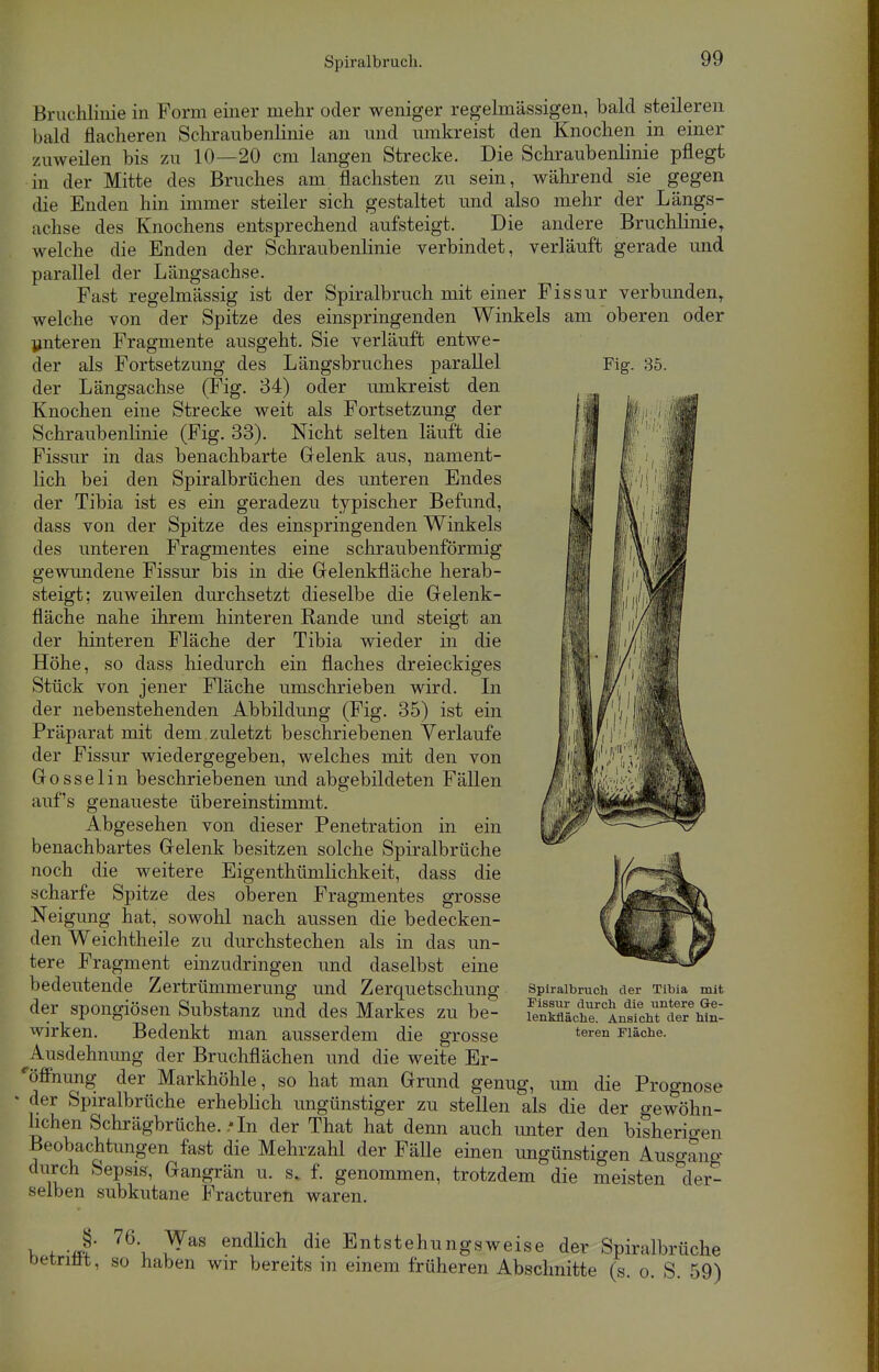 Fig. 35. Bruchlinie in Form einer mehr oder weniger regelmässigen, bald steileren bald flacheren Schraubenlinie an und umkreist den Knochen in einer zuweilen bis zu 10—20 cm langen Strecke. Die Schraubenlinie pflegt in der Mitte des Bruches am flachsten zu sein, während sie gegen die Enden hin immer steiler sich gestaltet und also mehr der Längs- achse des Knochens entsprechend aufsteigt. Die andere Bruchlinie, welche die Enden der Schraubenlinie verbindet, verläuft gerade und parallel der Längsachse. Fast regelmässig ist der Spiralbruch mit einer Fissur verbunden, welche von der Spitze des einspringenden Winkels am oberen oder ynteren Fragmente ausgeht. Sie verläuft entwe- der als Fortsetzung des Längsbruches parallel der Längsachse (Fig. 34) oder umkreist den Knochen eine Strecke weit als Fortsetzung der Schraubenlinie (Fig. 33). Nicht selten läuft die Fissur in das benachbarte Gelenk aus, nament- lich bei den Spiralbrüchen des unteren Endes der Tibia ist es ein geradezu typischer Befund, dass von der Spitze des einspringenden Winkels des unteren Fragmentes eine schraubenförmig gewundene Fissur bis in die Gelenkfläche herab- steigt; zuweilen durchsetzt dieselbe die Grelenk- fläche nahe ihrem hinteren Rande und steigt an der hinteren Fläche der Tibia wieder in die Höhe, so dass hiedurch ein flaches dreieckiges Stück von jener Fläche umschrieben wird. In der nebenstehenden Abbildung (Fig. 35) ist ein Präparat mit dem zuletzt beschriebenen Verlaufe der Fissur wiedergegeben, welches mit den von Gosselin beschriebenen und abgebildeten Fällen auf's genaueste übereinstimmt. Abgesehen von dieser Penetration in ein benachbartes Gelenk besitzen solche Spiralbrüche noch die weitere Eigentümlichkeit, dass die scharfe Spitze des oberen Fragmentes grosse Neigung hat, sowohl nach aussen die bedecken- den Weichtheile zu durchstechen als in das un- tere Fragment einzudringen und daselbst eine bedeutende Zertrümmerung und Zerquetschung der spongiösen Substanz und des Markes zu be- wirken. Bedenkt man ausserdem die grosse Ausdehnung der Bruchflächen und die weite Er- höhung der Markhöhle, so hat man Grund genug, um die Prognose ' der Spiralbrüche erheblich ungünstiger zu stellen als die der gewöhn- lichen Schrägbrüche. .'In der That hat denn auch unter den bisherigen Beobachtungen fast die Mehrzahl der Fälle einen ungünstigen Ausgang durch Sepsis, Gangrän u. s, f. genommen, trotzdem die meisten der- selben subkutane Fracturen waren. Spiralbruch der Tibia mit Fissur durch die untere Ge- lenkfläche. Ansicht der hin- teren Fläche. v f m 76\ ras endHdl die Entstehungsweise der Spiralbrüche oetnm, so haben wir bereits m einem früheren Abschnitte (s. o. S. 59)