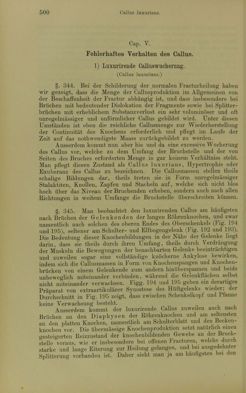 Cap. V. Fehlerhaftes Verhalten des Callus. 1) Luxurirende Calluswucheruiig. (Callus luxurians.) §. 344. Bei der Schilderung der normalen Fracturheilung haben wir gezeigt, dass die Menge der Callusproduktion im Allgemeinen von der Beschaffenheit der Fractur abhängig ist, und dass insbesondere bei Brüchen mit bedeutender Dislokation der Fragmente sowie bei Splitter- brüchen mit erheblichem Substanzverlust ein sehr voluminöser und oft unregelmässiger und unförmlicher Callus gebildet wird. Unter diesen Umständen ist eben die reichliche Callusmenge zur Wiederherstellung der Continuität des Knochens erforderlich und pflegt im Laufe der Zeit auf das nothwendigste Maass zurückgebildet zu werden. Ausserdem kommt nun aber hie und da eine excessive Wucherung des Callus vor, welche zu dem Umfang der Bruchstelle und der von Seiten des Bruches erforderten Menge in gar keinem Verhältniss steht. Man pflegt diesen Zustand als Callus luxurians, Hypertrophie oder Bxuberanz des Callus zu bezeichnen. Die Callusmassen stellen theils schalige Bildungen dar, theils treten sie in Form unregelmässiger Stalaktiten, Knollen, Zapfen und Stacheln auf, welche sich nicht blos hoch über das Niveau der Bruchenden erheben, sondern auch nach allen Richtungen in weitem Umfange die Bruchstelle überschreiten können. §. 345. Man beobachtet den luxurirenden Callus am häufigsten nach Brüchen der Gelenken den der langen Röhrenknochen, und zwar namentlich nach solchen des oberen Endes des Oberschenkels (Fig. 194 und 195), seltener am Schulter- und Ellbogengelenk (Fig. 192 und 193). Die Bedeutung dieser Knochenbildungen in der Nähe der Gelenke Hegt darin, dass sie theils durch ihren Umfang, theils durch Verdrängung der Muskeln die Bewegungen der benachbarten Gelenke beeinträchtigen und zuweilen sogar eine vollständige knöcherne Ankylose bewirken, indem sich die Callusmassen in Form von Knochenspangen und Knochen- brücken von einem Gelenkende zum andern hin überspannen und beide unbeweglich miteinander verbinden, während die Gelenkflächen selbst nicht miteinander verwachsen. Figg. 194 und 195 geben ein derartiges Präparat von extraartikulärer Synostose des Hüftgelenks wieder; der Durchschnitt in Fig. 195 zeigt, dass zwischen Schenkelkopf und Pfanne keine Verwachsung besteht. Ausserdem kommt der luxurirende Callus zuweilen auch nach Brüchen an den Diaphysen der Röhrenknochen und am seltensten an den platten Knochen, namentlich am Schulterblatt und den Becken- knochen vor. Die übermässige Knochenproduktion setzt natürlich einen gesteigerten Reizzustand der knochenbildenden Gewebe an der Bruch- stelle voraus, wie er insbesondere bei offenen Fracturen, welche durch starke und lange Eiterung zur Heilung gelangen, und bei ausgedehnter Splitterung vorhanden ist. Daher sieht man ja am häufigsten bei den