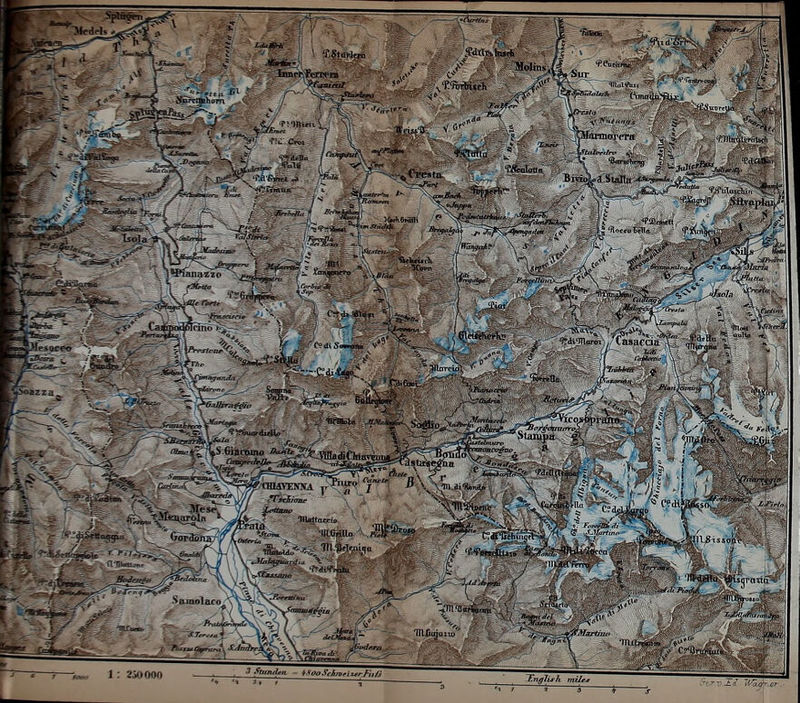 ■ Timpr.?erwca ^f^' Ore*ta ^- ■ ■ - .trlTn 'P.Wui * ''OtivkA iaisria