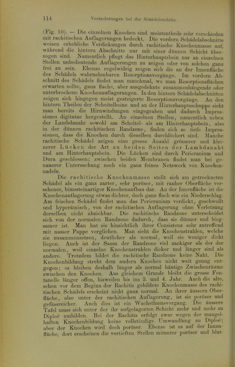 (Flg. 10). — Die einzelnen Knochen sind meistentheils sehr verschieden mit rachitischen Aufhigerungen bedeckt. Die vordem Scliädelabschnitte weisen erhebliche Verdicknngen durch rachitische Knochenmasse auf, während die hintern Abschnitte nur mit einer diinnciu Schicht über- zogen sind. Namentlich pflegt das Hinterhauptsbein nur an einzelnen Stellen unbedeutende Auflagerungen zu zeigen oder von solchen ganz frei zu sein. Ebenso regelwidrig zeigen sich die an der Innenfläche des Schädels wahrnehmbaren Resorptionsvorgänge. Im vordem Ab- schnitt des Schädels findet man manchmal, wo man Resorptionsflächen erwarten sollte, ganz flache, aber ausgedehnte zusammenhängende oder unterbrochene Knochenauflagerungen. In den hintern Schädelabschnitten zeigen sich hingegen meist gesteigerte Resorptionsvorgänge. An den hintern Theilen der Scheitelbeine und an der Hinterhauptsschuppe sieht man bereits die Hirnwindungen eingegraben und dadurch Irapres- siones digitatae hergestellt. An einzelnen Stellen, namentlich neben der Lambdanaht sowohl am Scheitel- als am Hinterhauptsbein, also in der dünnen rachitischen Randzone, finden sich so tiefe Impres- sionen, dass die Knochen durch dieselben durchlöchert sind. Manche rachitische Schädel zeigen eine grosse Anzahl grösserer und klei- nerer Lücken der Art zu beiden Seiten der Lambdanaht und am Hinterhauptsbein. Die Lücken sind durch Pericranium und Dura geschlossen; zwischen beiden Membranen findet man bei ge- nauerer Untersuchung noch ein ganz feines Netzwerk von Knochen- nadeln. Die rachitische Knochenmasse stellt sich am getrockneten Schädel als ein ganz zarter, sehr poröser, mit rauher Oberfläche ver- sehener, bimssteinartiger Knochenaufbau dar. An der Innenfläche ist die Knochenauflagerung etwas dichter, doch ganz flach wie ein Niederschlag. Am frischen Schädel findet man das Pericranium verdickt, geschwellt und hyperämisch, von der rachitischen Auflagerung ohne Verletzung derselben nicht abziehbar. Die rachitische Randzone unterscheidet sich von der normalen Randzone dadurch, dass sie dünner und bieg- samer ist. Man hat sie hinsichtlich ihrer Consistenz sehr zutrefiend mit nasser Pappe verglichen. Man sieht die Knochenstrahlen, welche sie zusammensetzen, deutlicher als normal, weil sie weniger dicht liegen. Auch ist der Saum der Randzone viel zackiger als der der normalen, weil einzelne Knochenstrahlen dicker und länger sind als andere. Trotzdem bildet die rachitische Randzone keine Naht. Die Knochenbildung strebt dem andern Knochen nicht weit genug ent- gegen; es bleiben deshalb länger als normal häutige Zwischenräume zwischen den Knochen. Aus gleichem Grunde bleibt die grosse Fon- tanelle länger oflfen, bisweilen bis ins 3. und 4. Jahr. Auch die alte, schon vor dem Beginn der Rachitis gebildete Knochenmasse des rachi- tischen Schädels erscheint nic]it ganz normal. An ihrer äussern Ober- fläche, also unter der rachitischen Auflagerung, ist sie poröser und gefässreicher. Auch dies ist ein Wachsthumsvorgang. Die äussere Tafel muss sich unter der ihr aufgelagerten Schicht mehr und mehr zu Diploe umbilden. Bei der Rachitis erfolgt zwar wegen der mangel- haften Knochenbildung keine vollständige Umwandlung zu Diploe; aber der Knochen wird doch poröser. Ebenso ist es auf der Innen- fläche, dort erscheinen die vertieften Stellen mitunter poröser und blut-