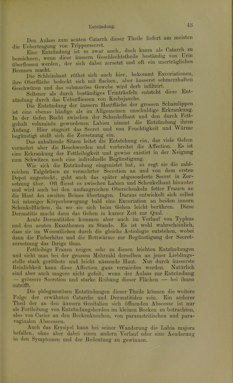 Den Anlass zum acuten Catarrh dieser Theüe liefert am meisten die Uebertragung von Trippersecret. , n l i Eine Entzündung ist es zwar auch, docli kaum als Catarrh zu bezeichnen, wenn diese äussern Geschlechtstheile beständig von Urni Überflossen werden, der sich dabei zersetzt und oft em unerträghches Brennen macht. Die Schleimhaut röthet sich auch hier, bekommt Excoriationen, ihre Oberfläche bedeckt sich mit flachen, aber äusserst schmerzhaften Oeschwüren und das submucöse Gewebe wird derb infiltrirt. Seltener als durch beständiges Urinträufeln entsteht diese Ent- zündung durch das Ueberfliessen von Krebsjauche. Die Entzündung der äussern Hautfläche der grossen Schamüppen ist eine ebenso häufige als im Allgemeinen unschuldige Erkrankung. In der tiefen Bucht zwischen der Schenkelhaut und den durch Fett- gehalt voluminös gewordenen Labien nimmt die Entzündung ihren Anfang. Hier stagnirt das Secret und von Feuchtigkeit und Wärme begünstigt steUt sich die Zersetzung ein. Das anhaltende Sitzen leitet die Entstehung ein, das viele Gehen vermehrt aber die Beschwerden und verbreitet die Affection. Es ist eine Erkrankung der Fettleibigkeit und gewiss existirt in der Neigung zum Schwitzen noch eine individuelle Begünstigung. Wie sich die Entzündung eingenistet hat, so regt sie die zahl- reichen Talgdrüsen zu vermehrter Secretion an und von dem ersten Depot angesteckt, geht auch das später abgesonderte Secret in Zer- setzung über. Oft fliesst es zwischen Labien und Schenkelhaut hinunter und wird auch bei den umfangreichen Oberschenkeln fetter Frauen an die Haut des zweiten Beines übertragen. Daraus entwickelt sich selbst bei mässiger Körperbewegung bald eine Excoriation an beiden innern Schenkelflächen, da wo sie sich beim Gehen leicht berühren. Diese Dermatitis macht dann das Gehen in kurzer Zeit zur Qual. Acute Dermatitiden kommen aber auch im Verlauf von Typhus und den acuten Exanthemen zu Stande. Es ist wohl wahrscheinlich, dass sie im Wesentlichen durch die gleiche Aetiologie entstehen, wobei dann die Fieberhitze und die Bettwärme zur Begünstigung der Secret- zersetzung das Ihrige thun. Fettleibige Frauen neigen sehr zu diesen leichten Entzündungen und sieht man bei der grossen Mehrzahl derselben an jener Lieblings- steUe stark geröthete und leicht nässende Haut. Nur durch äusserste Reinlichkeit kann diese Affection ganz vermieden werden. Natürlich sind aber auch magere nicht gefeit, wenn der Anlass zur Entzündung — grössere Secretion und starke Reibung dieser Flächen — bei ihnen zutrifft. Die phlegmonösen Entzündungen dieser Theile können die weitere Folge der erwähnten Catarrhe und Dermatitiden sein. Ein anderer Theil der an den äussern Genitalien sich öffnenden Abscesse ist nur als Fortleitung von Entzündungsherden im kleineu Becken zu betrachten, also von Caries an den Beckenknochen, von parametritischen und para- vaginalen Abscessen. Auch das Erysipel kann bei seiner Wanderung die Labia majora befallen, ohne aber dabei einen andern Verlauf oder eine Aenderung in den Symptomen und der Bedeutung zu gewinnen.