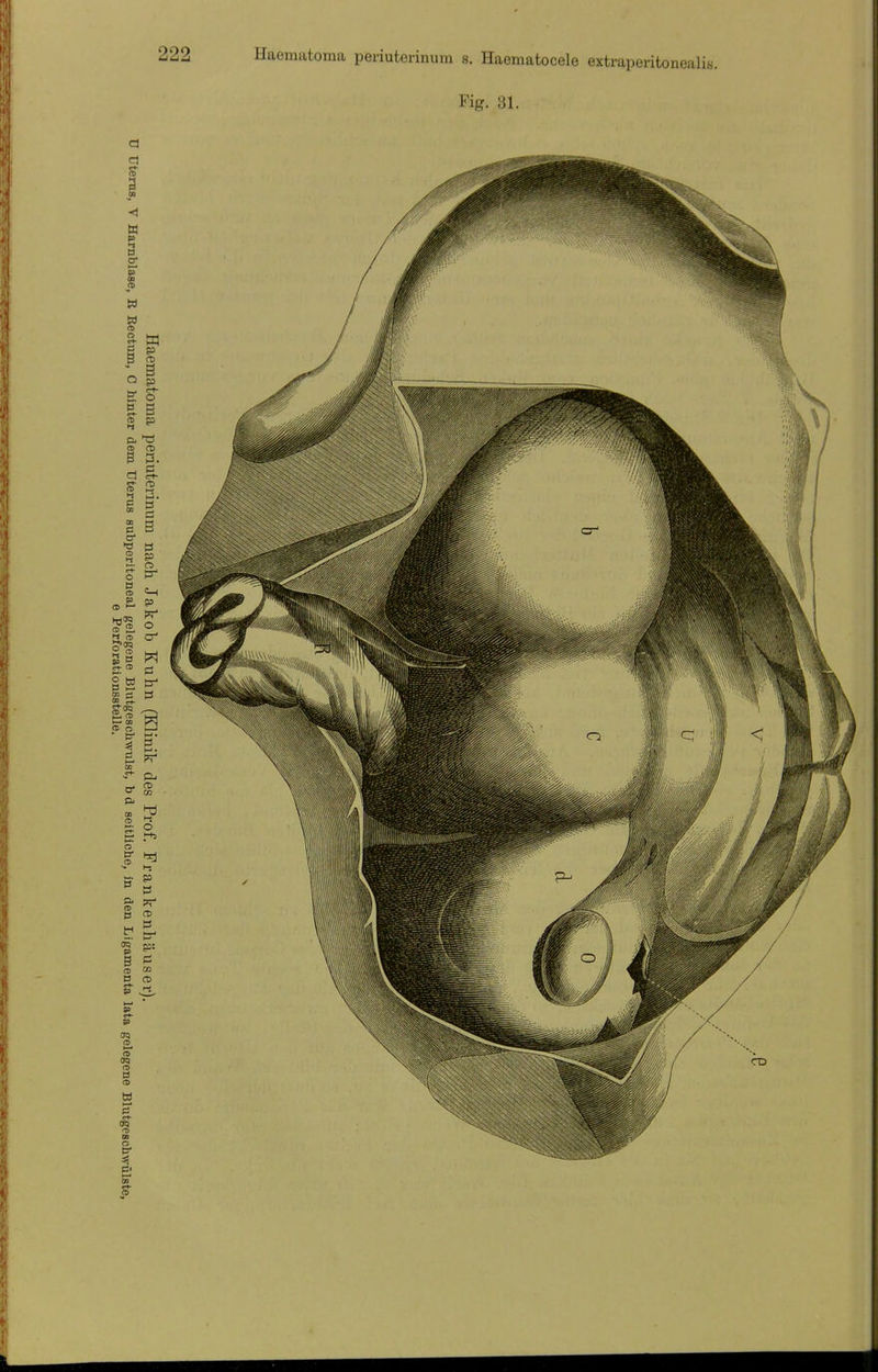 Fig. 81.