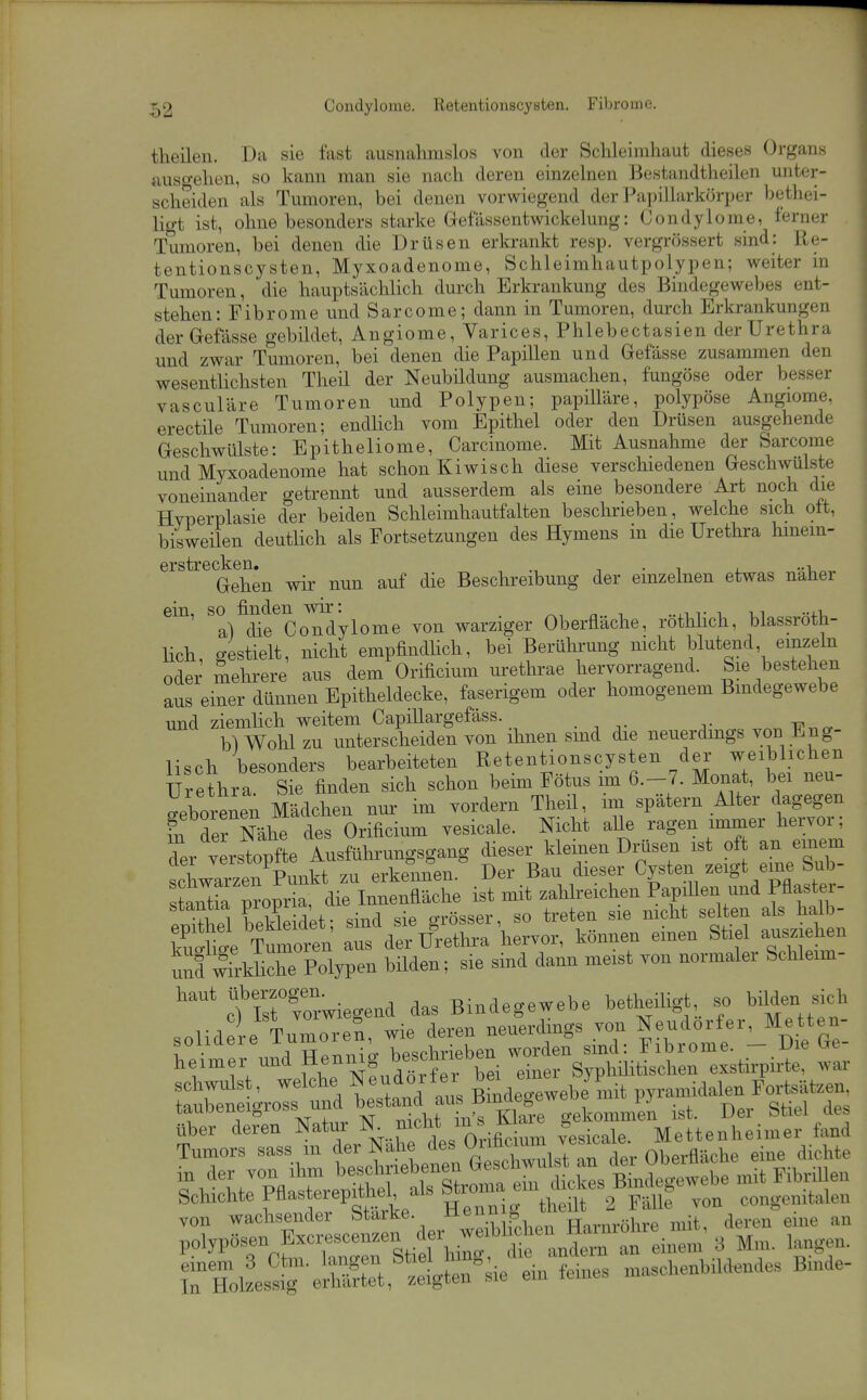 T^2 Condylome. Retentionscysten. Fibrome. theilen. Da sie fast ausnahmslos von der Schleimhaut dieses Organs nusgehen, so kann man sie nach deren einzelnen Bcstandtheilen unter- scheiden als Tumoren, bei denen vorwiegend der Papillarkürper l)ethei- ligt ist, ohne besonders starke Gefässentwickelung: Condylome, ferner Tumoren, bei denen die Drüsen erkrankt resp. vergrössert sind: Re- tentionscysten, Myxoadenome, Schleimhautpolypen; weiter in Tumoren, die hauptsächlich durch Erkrankung des Bindegewebes ent- stehen: Fibrome und Sarcome; dann in Tumoren, durch Erkrankungen derGefässe gebildet, Angiome, Varices, Phlebectasien der Urethra und zwar Tumoren, bei denen die Papillen und Grefässe zusammen den wesenthchsten Theil der Neubildung ausmachen, fungöse oder besser vasculäre Tumoren und Polypen; papiUäre, polypöse Angiome, erectile Tumoren; endlich vom Epithel oder den Drüsen ausgehende Geschwülste: Epitheliome, Carcinome. Mit Ausnahme der Sarcome und Myxoadenome hat schon Kiwisch diese verschiedenen Geschwülste voneinander getrennt und ausserdem als eine besondere Art noch die Hyperplasie der beiden Schleimhautfalten beschrieben, welche sich ott, bisweilen deutlich als Fortsetzungen des Hymens m die Urethra hinein- Gehen wir nun auf die Beschreibung der einzelnen etwas näher ein, so finden wir: . , a) die Condylome von warziger Oberflache, rothhch, blassroth- lich gestielt, nicht empfindhch, bei Berührung nicht blutend, einzeln oder Sichrere aus dem Orificium urethrae hervorragend. Sie bestehen aus einer dünnen Epitheldecke, faserigem oder homogenem Bmdegewebe und ziemlich weitem Capillargefäss. b) Wohl zu unterscheiden von ihnen smd die neuerdings vod »Lng- lisch besonders bearbeiteten Retentionscysten der weiblichen Urethra Sie finden sich schon beim Fötus im 6.-7. Monat, bei neu- geborenen Mädchen nur im vordem Theil, im spätem Alter dagegen fn der Nähe des Orificium vesicale. Nicht alle ragen immer hervor; der verstopfte Ausführungsgang dieser kleinen Drüsen ist of an eme^m schwarzen Punkt zu erkennen. Der Bau dieser Cysten zeigt eine Sub- taX propria, die Innenfläche ist mit zahlreichen PapiUen und Pflaster- stantia Propr a o-rösser, so treten sie nicht selten als halb- Äe Tu^^^^^^^^^^^ Ts der Urethra hervor, können einen Stiel ausziehen ÄrkM Polypen bilden; sie sind dann meist von normaler Schleim- haut überzogen.^^^^^ Bindegewebe betheiligt, so bilden sich .nlirlere Tumoren, wie deren neuerdings von Neudorfer, Metten- solidere -^7^^^^^^ T^i^rieben worden sind: Fibrome. - Die Ge- heimer und He^^^^//^^';^^7^e^ einer Syphüitischen exstirpirte, war schwulst, welche Neudorter ^ ^J^^^^j. yramidalen Fortsätzen, taubeneigross und ist. Der Stiel des über deren Natur ^^^icale. Mettenheimer fand Tumors sass m der Nahe des ^r™n ves^ Oberfläche eine dichte in der von ihm beschriebenen Geschwulst a^^ Schichte ^^^f^ ^Zr^ ^^^^ ^^^^^^ von wachsender Starke. ^^^^^ P, Harnröhre mit, deren eme an polypösen Excrescenzen d^^^^^^^^ 3 tZie^-^^^^^ maschenbildendes Binde-