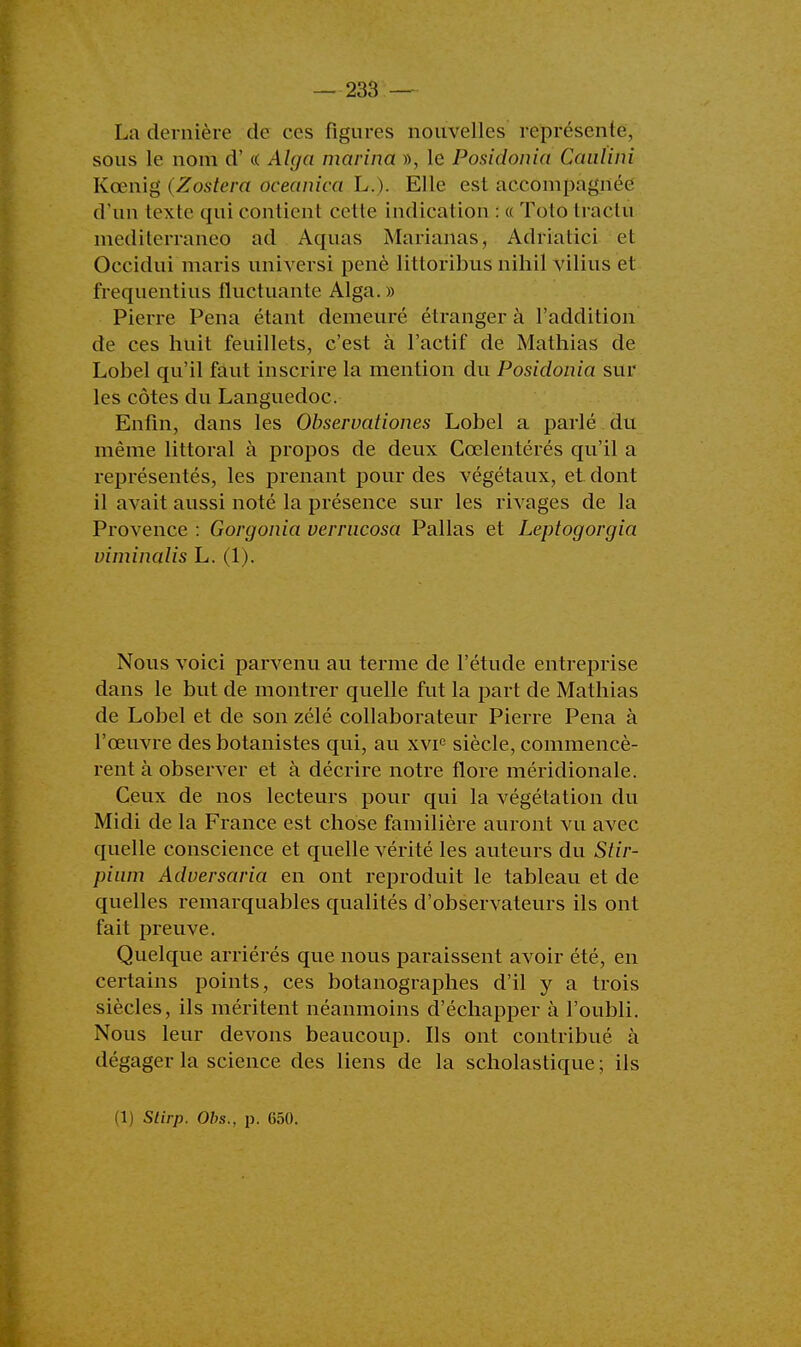 La dernière de ces figures nouvelles représente, sous le nom d'« Alga marina », le Posidonia Cauliiù Kœnig (Zoétera oceanica L.). Elle est accompagnée d'un texte qui contient celle indication :« Toto traeln medilerraneo ad Aquas Marianas, Adriatici et Occidui maris universi penè litloribus nihil vilius et frequentius fluctuante Alga. » Pierre Pena étant demeuré étranger à l'addition de ces huit feuillets, c'est à l'actif de Mathias de Lobel qu'il faut inscrire la mention du Posidonia sur les côtes du Languedoc. Enfin, dans les Observationes Lobel a parlé du même littoral à propos de deux Cœlentérés qu'il a représentés, les prenant pour des végétaux, et dont il avait aussi noté la présence sur les rivages de la Provence : Gorgonia verrucosa Pallas et Leptogorgia viminalis L. (1). Nous voici parvenu au terme de l'étude entreprise dans le but de montrer quelle fut la part de Mathias de Lobel et de son zélé collaborateur Pierre Pena à l'œuvre des botanistes qui, au xvi° siècle, commencè- rent à observer et à décrire notre flore méridionale. Ceux de nos lecteurs pour qui la végétation du Midi de la France est chose familière auront vu avec quelle conscience et quelle vérité les auteurs du Stir- pium Adversaria en ont reproduit le tableau et de quelles remarquables qualités d'observateurs ils ont fait preuve. Quelque arriérés que nous paraissent avoir été, en certains points, ces botanographes d'il y a trois siècles, ils méritent néanmoins d'échapper à l'oubli. Nous leur devons beaucoup. Ils ont contribué à dégager la science des liens de la scholastique ; ils