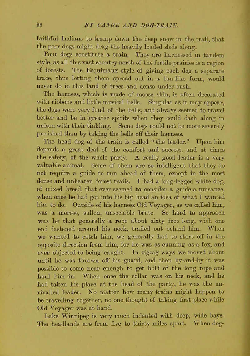 faithful Indians to tramp down the deep snow in the trail, that the poor dogs might drag the heavily loaded sleds along. Four dogs constitute a train. They are harnessed in tandem style, as all this vast country north of the fertile prairies is a region of forests. The Esquimaux style of giving each dog a separate trace, thus letting them spread out in a fan-like form, would never do in this land of trees and dense under-bush. The harness, which is made of moose skin, is often decorated with ribbons and little musical bells. Singular as it may appear, the dogs were very fond of the beUs, and always seemed to travel better and be in greater spirits when they could dash along in unison with their tinkling. Some dogs coiild not be more severely punished than by taking the bells off theii- harness. The head dog of the train is called  the leader. Upon him depends a great deal of the comfort and success, and at times the safety, of the whole party. A really good leader is a very valuable animal. Some of them are so intelligent that they do not require a gmde to run ahead of them, except in the most dense and unbeaten forest trails. I had a long-legged white dog, of mixed breed, that ever seemed to consider a guide a nuisance, when once he had got into his big head an idea of what I wanted him to do. Outside of his harness Old Voyager, as we called him, was a morose, sullen, unsociable brute. So hard to approach was he that generally a rope about sixty feet long, with one end fastened around his neck, trailed out behind him. When we wanted to catch him, we generally had to start off in the opposite direction from him, for he was as cunning as a fox, and ever objected to being caught. In zigzag ways we moved about until he was thrown off his guard, and then by-and-by it was possible to come near enough to get hold of the long rope and haul him in. When once the collar was on his neck, and he had taken his place at the head of the party, he was the un- rivalled leader. No matter how many trains might happen to be travelling together, no one thought of taking first place while Old Voyager was at hand. Lake Winnipeg is very much indented with deep, wide bays. The headlands are from five to thirty miles apart. When dog'