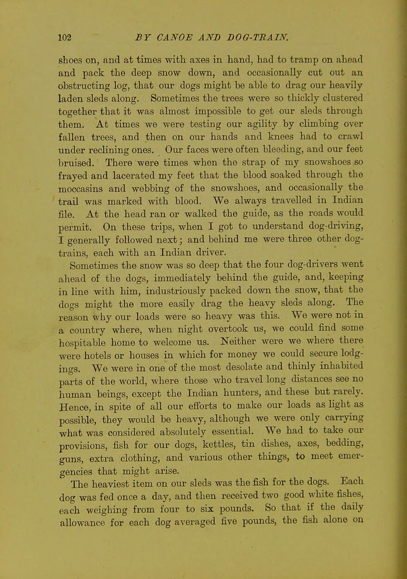 shoes on, and at times witla axes in hand, had to tramp on ahead and pack the deep snow down, and occasionally cut out an obstructing log, that our dogs might be able to drag our heavily laden sleds along. Sometimes the trees were so thickly clustered together that it was almost impossible to get our sleds through them. At times we were testing our agility by climbing over fallen trees, and then on our hands and knees had to crawl under reclining ones. Our faces were often bleeding, and our feet bruised. There were times when the strap of my snowshoes so frayed and lacerated my feet that the blood soaked through the moccasins and webbing of the snowshoes, and occasionally the trail was marked with blood. We always travelled in Indian file. At the head ran or walked the guide, as the roads would permit. On these trips, when I got to understand dog-driving, I generally followed next; and behind me were three other dog- trains, each with an Indian driver. Sometimes the snow was so deep that the fom' dog-drivers went ahead of the dogs, immediately behind the guide, and, keeping in line with him, industriously packed down the snow, that the dogs might the more easily drag the heavy sleds along. The reason why our loads were so heavy was this. We were not in a country where, when night overtook us, we could find some hospitable home to welcome us. Neither were we where there were hotels or houses in which for money we could secure lodg- ings. We were in one of the most desolate and thinly inhabited parts of the world, where those who travel long distances see no human beings, except the Indian hunters, and these but rarely. Hence, in spite of aU our efforts to make our loads as light as possible, they would be heavy, although we were only carrying what was considered absolutely essential. We had to take our provisions, fish for our dogs, kettles, tin dishes, axes, bedding, guns, extra clothing, and various other things, to meet emer- gencies that might arise. The heaviest item on our sleds was the fish for the dogs. Each dog was fed once a day, and then received two good white fishes, each weighing from four to six pounds. So that if the daily allowance for each dog averaged five pounds, the fish alone on