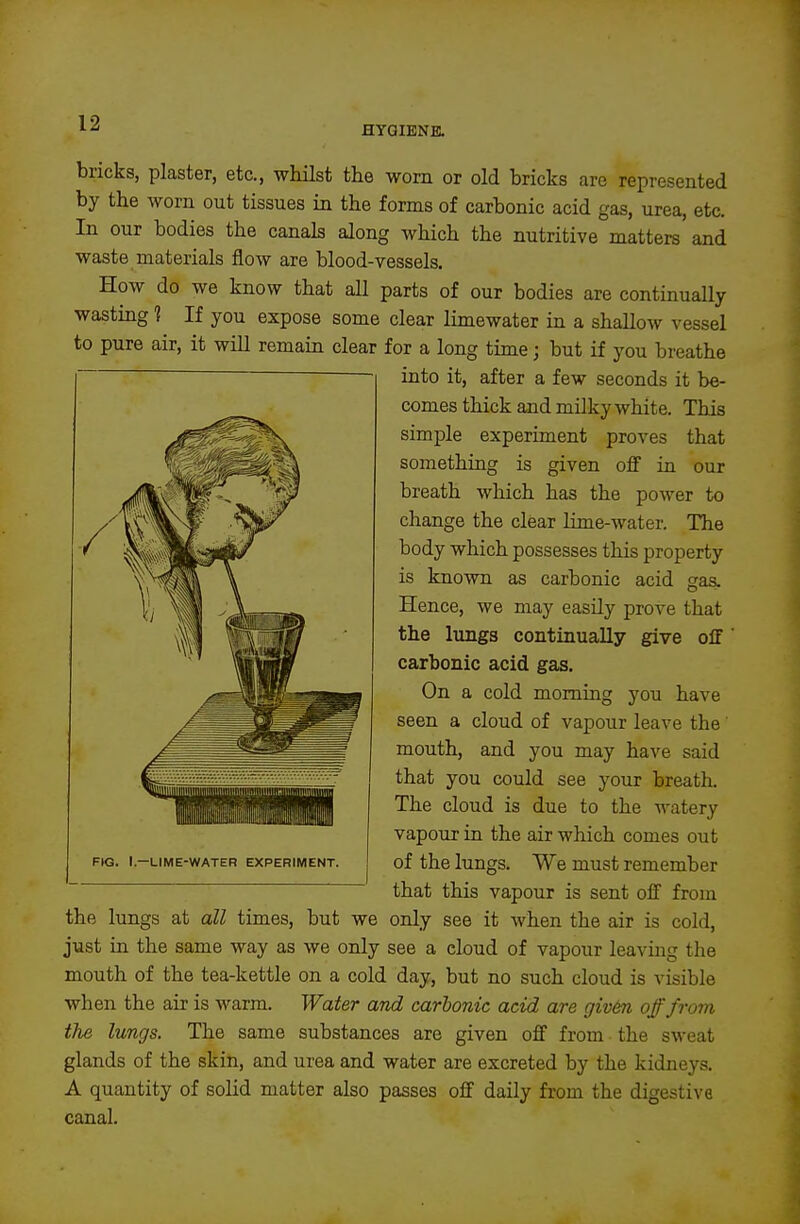 HYGIBNa bricks, plaster, etc., whilst the worn or old bricks are represented by the worn out tissues in the forms of carbonic acid gas, urea, etc. In our bodies the canals along which the nutritive matters and waste materials flow are blood-vessels. How do we know that all parts of our bodies are continually wasting 1 If you expose some clear limewater in a shallow vessel to pure air, it will remain clear for a long time; but if you breathe into it, after a few seconds it be- comes thick and milky white. This simple experiment proves that something is given off in our breath which has the power to change the clear lime-water. The body which possesses this property is known as carbonic acid gas. Hence, we may easily prove that the lungs continually give off ' carbonic acid gas. On a cold morning you have seen a cloud of vapour leave the mouth, and you may have said that you could see your breath. The cloud is due to the watery vapour in the air which comes out of the lungs. We must remember that this vapour is sent off from the lungs at all times, but we only see it when the air is cold, just in the same way as we only see a cloud of vapour leaving the mouth of the tea-kettle on a cold day, but no such cloud is visible when the air is warm. Water and carbonic acid are giv&n off from the lungs. The same substances are given off from the sweat glands of the skin, and urea and water are excreted by the kidneys. A quantity of solid matter also passes off daily from the digestive canal.
