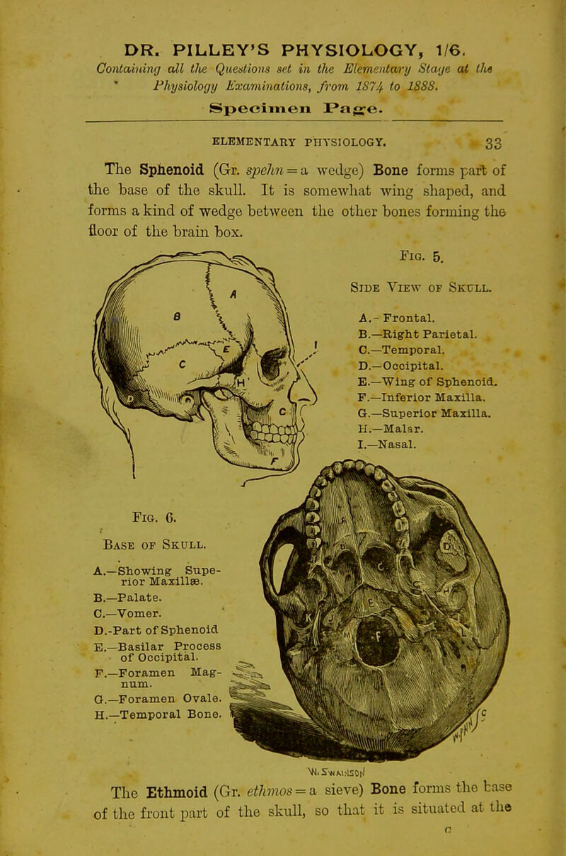 DR. PILLEY'S PHYSIOLOGY, 1/6. Containing all the Questions set in the Elementary Staye ai tlte Physiology Examinations, from ISJ/f. to 1888. Specimen Pajg^e. ELEMENTARY PnYSlOLOGY. 33 The Sphenoid (Gr. spelm = a wedge) Bone forais part of the base of the skull. It is somewhat wing shaped, and forms a kind of wedge between the other bones forming the floor of the brain box. The Ethmoid (Gr. ethmos = (i sieve) Bone forms the base of the front part of the skull, so that it is situated at the