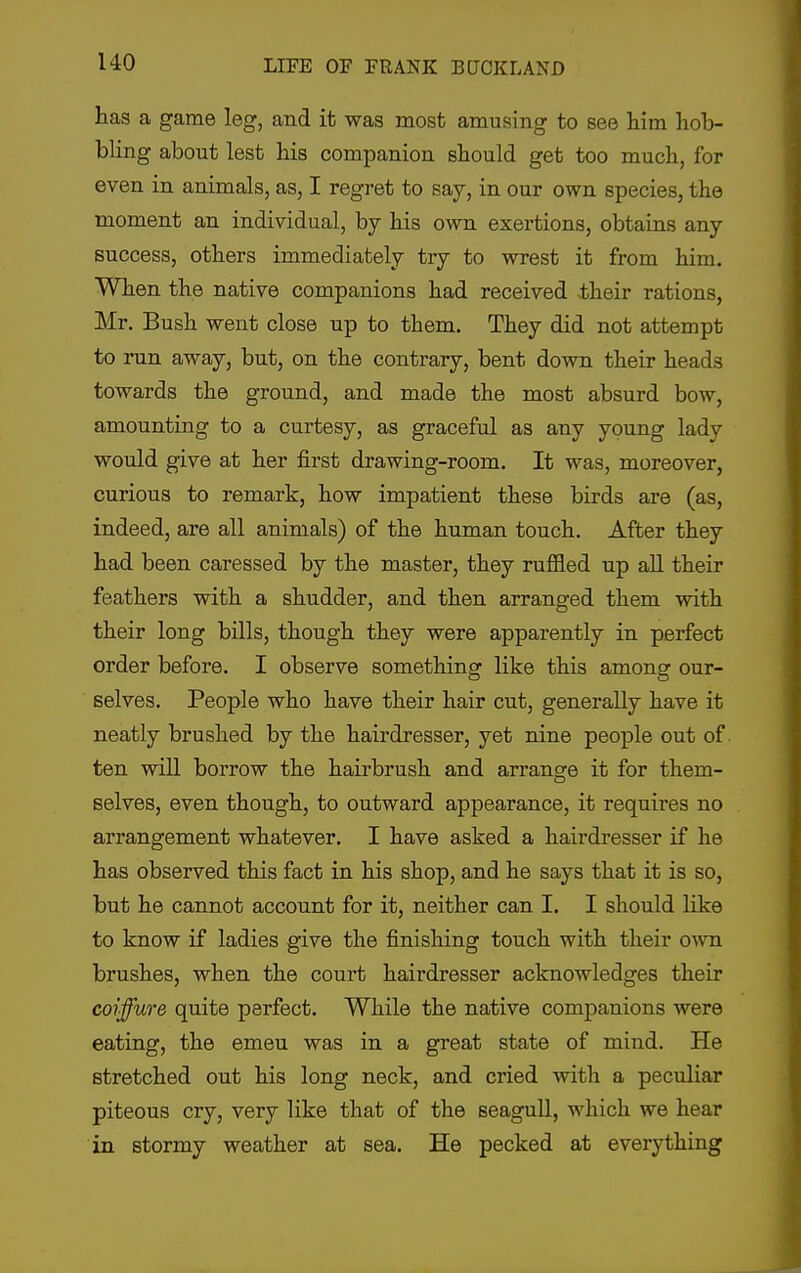 tas a game leg, and it was most amusing to see him hob- bling about lest his companion should get too much, for even in animals, as, I regret to say, in our own species, the moment an individual, by his own exertions, obtains any success, others immediately try to wrest it from him. When the native companions had received -their rations, Mr. Bush went close up to them. They did not attempt to run away, but, on the contrary, bent down their heads towards the ground, and made the most absurd bow, amounting to a curtesy, as graceful as any young lady would give at her first drawing-room. It was, moreover, curious to remark, how impatient these birds are (as, indeed, are all animals) of the human touch. After they had been caressed by the master, they rufiled up all their feathers with a shudder, and then arranged them with their long bills, though they were apparently in perfect order before. I observe something like this among our- selves. People who have their hair cut, generally have it neatly brushed by the hairdresser, yet nine people out of ten will borrow the hairbrush and arrange it for them- selves, even though, to outward appearance, it requires no arrangement whatever. I have asked a hairdresser if he has observed this fact in his shop, and he says that it is so, but he cannot account for it, neither can I. I should like to know if ladies give the finishing touch with their own brushes, when the court hairdresser acknowledges their coiffure quite perfect. While the native companions were eating, the emeu was in a great state of mind. He stretched out his long neck, and cried with a peculiar piteous cry, very like that of the seagull, which we hear in stormy weather at sea. He pecked at everything