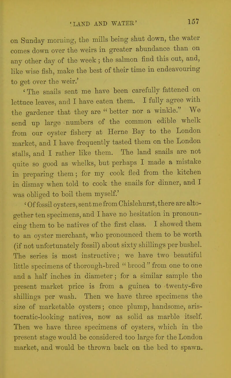 on Sunday morning, the mills being shut down, the water comes down over the weirs in greater abundance than on any other day of the week ; the salmon find this out, and, like wise fish, make the best of their time in endeavouring to get over the weir.' ' The snails sent me have been carefully fattened on lettuce leaves, and I have eaten them. I fully agree with the gardener that they are  better nor a winkle. We send up large numbers of the common edible whelk from our oyster fishery at Heme Bay to the London market, and I have frequently tasted them on the London stalls, and I rather like them. The land snails are not quite so good as whelks, but perhaps I made a mistake in preparing them; for my cook fled from the kitchen in dismay when told to cook the snails for dinner, and I was obliged to boil them myself.' ' Of fossil oysters, sent me from Chislehurst, there are alto- gether ten specimens, and I have no hesitation in pronoun- cing them to be natives of the first class. I showed them to an oyster merchant, who pronounced them to be worth (if not unfortunately fossil) about sixty shillings per bushel. The series is most instructive; we have two beautiful little specimens of thorough-bred  brood  from one to one and a half inches in diameter; for a similar sample the present market price is from a guinea to twenty-five shillings per wash. Then we have three specimens the size of marketable oysters; once plump, handsome, axis- tocratic-looking natives, now as solid as marble itself. Then we have three specimens of oysters, which in the present stage would be considered too large for the London market, and would be thrown back on the bed to spawn.
