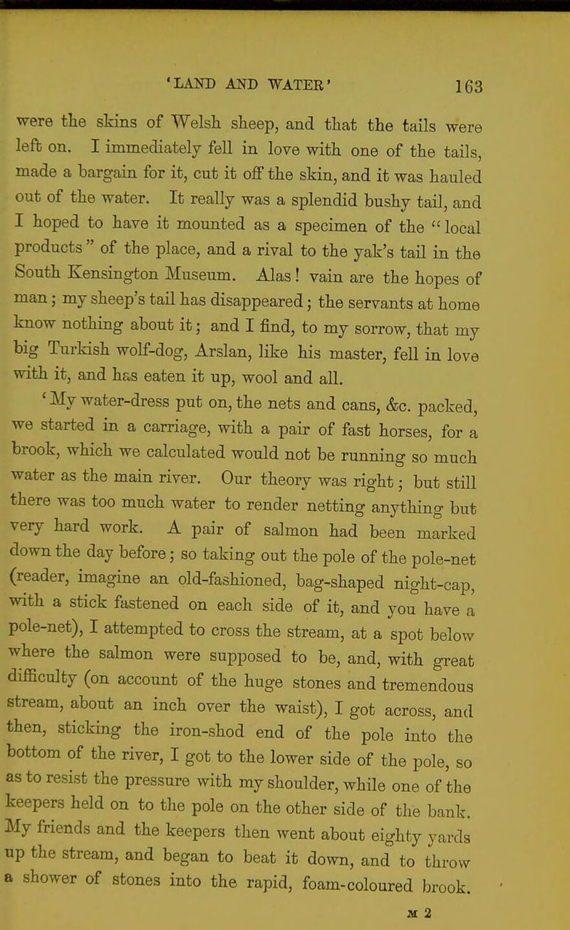 were the skins of Welsh sheep, and that the tails were left on. I immediately fell in love with one of the tails, made a bargain for it, cut it off the skin, and it was hauled out of the water. It really was a splendid bushy tail, and I hoped to have it mounted as a specimen of the  local products  of the place, and a rival to the yak's tail in the South Kensington Museum. Alas ! vain are the hopes of man; my sheep's tail has disappeared; the servants at home know nothing about it; and I find, to my sorrow, that my big Turkish wolf-dog, Arslan, like his master, fell in love with it, and has eaten it up, wool and all. ' My water-dress put on, the nets and cans, &c. packed, we started in a carriage, with a pair of fast horses, for a brook, which we calculated would not be running so much water as the main river. Our theory was right • but still there was too much water to render netting anything but very hard work. A pair of salmon had been marked down the day before; so taking out the pole of the pole-net (reader, imagine an old-fashioned, bag-shaped night-cap, with a stick fastened on each side of it, and you have a pole-net), I attempted to cross the stream, at a spot below where the salmon were supposed to be, and, with great difficulty (on account of the huge stones and tremendous stream, about an inch over the waist), I got across, and then, sticking the iron-shod end of the pole into the bottom of the river, I got to the lower side of the pole, so as to resist the pressure with my shoulder, while one of the keepers held on to the pole on the other side of the bank. My friends and the keepers then went about eighty yards up the stream, and began to beat it down, and to throw a shower of stones into the rapid, foam-coloured brook. M 2