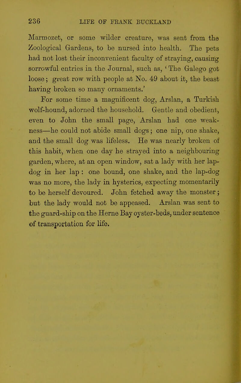 Marmozet, or some wilder creature, was sent from the Zoological Gardens, to be nursed into health. The pets had not lost their inconvenient faculty of straying, causing sorrowful entries in the Journal, such as, ' The Galego got loose; great row with people at No. 49 about it, the beast having broken so many ornaments.' For some time a magniJicent dog, Arslan, a Turkish wolf-hound, adorned the household. Gentle and obedient, even to John the small page, Arslan had one weak- ness—he could not abide small dogs; one nip, one shake, and the small dog was lifeless. He was nearly broken of this habit, when one day he strayed into a neighbouring garden, where, at an open window, sat a lady with her lap- dog in her lap : one bound, one shake, and the lap-dog was no more, the lady in hysterics, expecting momentarily to be herself devoured. John fetched away the monster; but the lady would not be appeased. Arslan was sent to the guard-ship on the Herne Bay oyster-beds, under sentence of transportation for life.