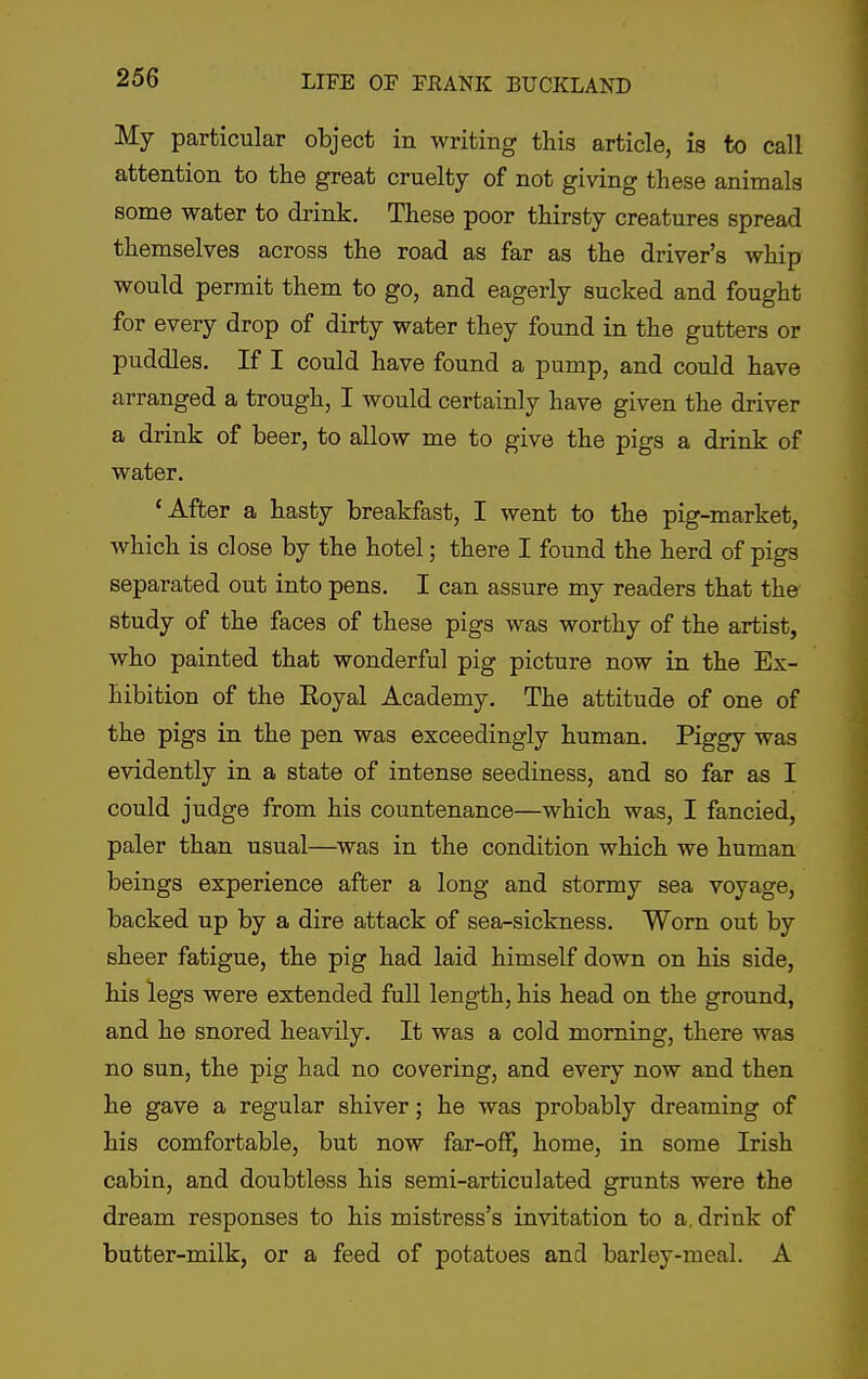 My particular object in writing this article, is to call attention to the great cruelty of not giving these animals some water to drink. These poor thirsty creatures spread themselves across the road as far as the driver's whip would permit them to go, and eagerly sucked and fought for every drop of dirty water they found in the gutters or puddles. If I could have found a pump, and could have arranged a trough, I would certainly have given the driver a drink of beer, to allow me to give the pigs a drink of water. 'After a hasty breakfast, I went to the pig-market, which is close by the hotel; there I found the herd of pigs separated out into pens. I can assure my readers that the study of the faces of these pigs was worthy of the artist, who painted that wonderful pig picture now in the Ex- hibition of the Eoyal Academy. The attitude of one of the pigs in the pen was exceedingly human. Piggy was evidently in a state of intense seediness, and so far as I could judge from his countenance—which was, I fancied, paler than usual—^was in the condition which we human beings experience after a long and stormy sea voyage, backed up by a dire attack of sea-sickness. Worn out by sheer fatigue, the pig had laid himself down on his side, his legs were extended full length, his head on the ground, and he snored heavily. It was a cold morning, there was no sun, the pig had no covering, and every now and then he gave a regular shiver; he was probably dreaming of his comfortable, but now far-off, home, in some Irish cabin, and doubtless his semi-articulated grunts were the dream responses to his mistress's invitation to a. drink of butter-milk, or a feed of potatoes and barley-meal. A