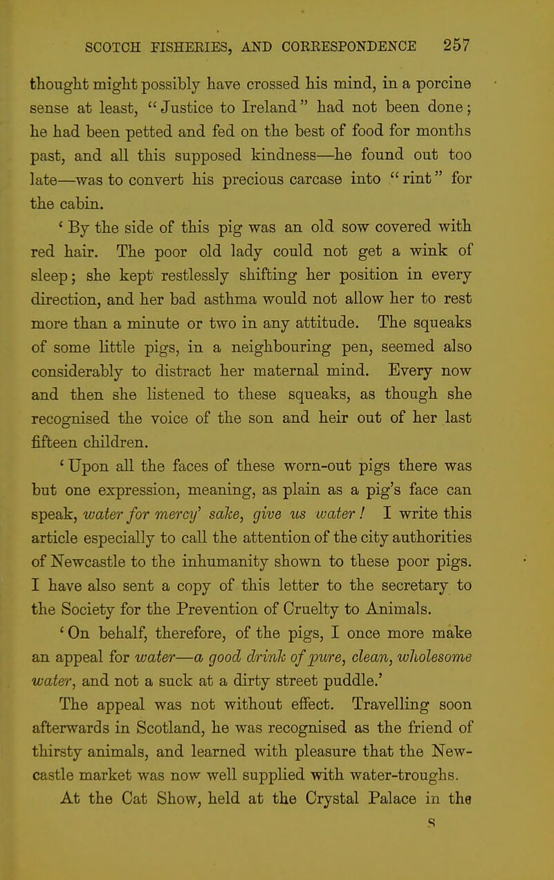 thought might possibly have crossed his mind, in a porcine sense at least, Justice to Ireland had not been done; he had been petted and fed on the best of food for months past, and all this supposed kindness—he found out too late—^was to convert his precious carcase into  rint for the cabin. ' By the side of this pig was an old sow covered with red hair. The poor old lady could not get a wink of sleep; she kept' restlessly shifting her position in every direction, and her bad asthma would not allow her to rest more than a minute or two in any attitude. The squeaks of some little pigs, in a neighbouring pen, seemed also considerably to distract her maternal mind. Every now and then she listened to these squeaks, as though she recognised the voice of the son and heir out of her last fifteen children. ' Upon all the faces of these worn-out pigs there was but one expression, meaning, as plain as a pig's face can speak, water for mercy' sake, give us water! I write this article especially to call the attention of the city authorities of Newcastle to the inhumanity shown to these poor pigs. I have also sent a copy of this letter to the secretary to the Society for the Prevention of Cruelty to Animals. ' On behalf, therefore, of the pigs, I once more make an appeal for water—a good drink of pure, clean, wlwlesome water, and not a suck at a dirty street puddle.' The appeal was not without effect. Travelling soon afterwards in Scotland, he was recognised as the friend of thirsty animals, and learned with pleasure that the New- castle market was now well supplied with water-troughs. At the Cat Show, held at the Crystal Palace in the s