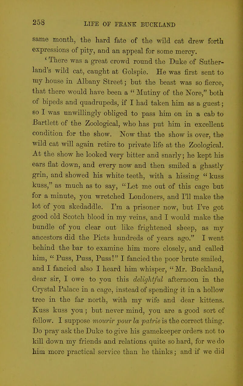 same month, tlie hard fate of the wild cat drew forth expressions of pity, and an appeal for some mercy. ' There was a great crowd round the Duke of Suther- land's wild cat, caught at Golspie. He was first sent to my house in Albany Street; but the beast was so fierce, that there would have been a  Mutiny of the Nore, both of bipeds and quadrupeds, if I had taken him as a guest; 60 I was unwillingly obliged to pass him on in a cab to Bartlett of the Zoological, who has put him in excellent condition for the show. Now that the show is over, the wild cat will again retire to private life at the Zoological. At the show he looked very bitter and snarly; he kept his ears flat down, and every now and then smiled a ghastly grin, and showed his white teeth, with a hissing  kuss kuss, as much as to say,  Let me out of this cage but for a minute, you wretched Londoners, and I'll make the lot of you skedaddle. I'm a prisoner now, but I've got good old Scotch blood in my veins, and I would make the bundle of you clear out like frightened sheep, as my ancestors did the Picts hundreds of years ago. I went behind the bar to examine him more closely, and called him,  Puss, Puss, Puss! I fancied the poor brute smiled, and I fancied also I heard him whisper,  Mr. Buckland, dear sir, I owe to you this delightful afternoon in the Crystal Palace in a cage, instead of spending it in a hollow tree in the far north, with my wife and dear kittens. Kuss kuss you; but never mind, you are a good sort of fellow. I suppose mourir pour la patrie is the correct thing. Do pray ask the Duke to give his gamekeeper orders not to kill down my friends and relations quite so hard, for we do him more practical service than he thinks; and if we did