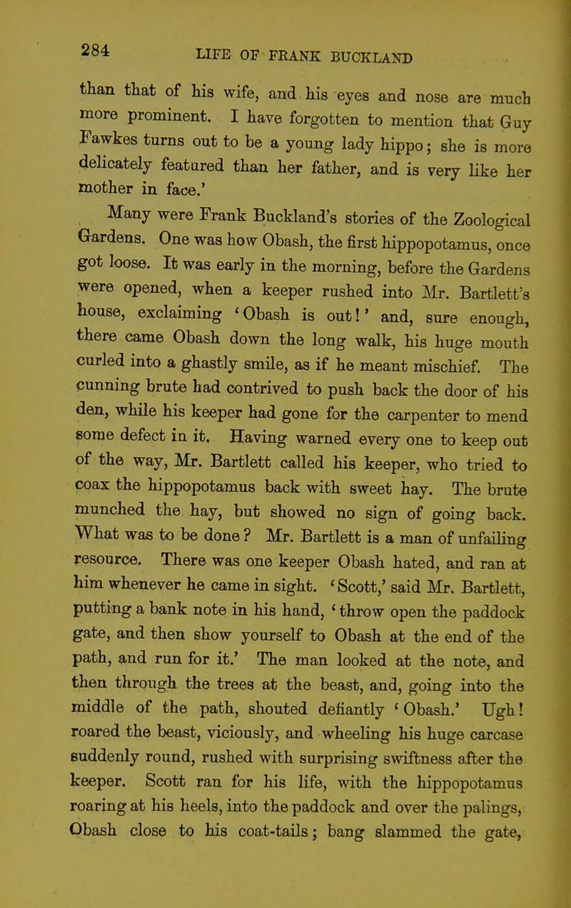 than that of his wife, and his eyes and nose are much more prominent. I have forgotten to mention that Guy Fawkes turns out to be a young lady hippo; she is more delicately featured than her father, and is very Uke her mother in face.' Many were Frank Buckland's stories of the Zoological Gardens. One was how Obash, the first hippopotamus, once got loose. It was early in the morning, before the Gardens were opened, when a keeper rushed into Mr. Bartlett's house, exclaiming 'Obash is out!' and, sure enough, there came Obash down the long walk, his huge mouth curled into a ghastly smile, as if he meant mischief. The cunning brute had contrived to push back the door of his den, while his keeper had gone for the carpenter to mend some defect in it. Having warned every one to keep out of the way, Mr. Bartlett called his keeper, who tried to coax the hippopotamus back with sweet hay. The brute munched the hay, but showed no sign of going back. What was to be done ? Mr. Bartlett is a man of unfailing resource. There was one keeper Obash hated, and ran at him whenever he came in sight. ' Scott,' said ilr. Bartlett, putting a bank note in his hand, 'throw open the paddock gate, and then show yourself to Obash at the end of the path, and run for it.' The man looked at the note, and then through the trees at the beast, and, going into the middle of the path, shouted defiantly 'Obash.' Ugh! roared the beast, viciously, and wheeling his huge carcase suddenly round, rushed with surprising swiftness after the keeper. Scott ran for his life, with the hippopotamus roaring at his heels, into the paddock and over the palings, Obash close to his coat-tails; bang slammed the gate,