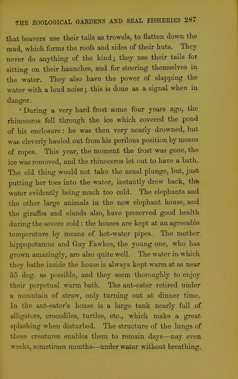 that beavers use their tails as trowels, to flatten down the mud, which forms the roofs and sides of their huts. They never do anything of the kind; they use their tails for sitting on their haunches, and for steering themselves in the water. They also have the power of slapping the water with a loud noise; this is done as a signal when in danger. ' During a very hard frost some four years ago, the rhinoceros fell through the ice which covered the pond of his enclosure: he was then very nearly drowned, but was cleverly hauled out from his perilous position by means of ropes. This year, the moment the frost was gone, the ice was removed, and the rhinoceros let out to have a bath. The old thing would not take the usual plunge, but, just putting her toes into the water, instantly drew back, the water evidently being much too cold. The elephants and the other large animals in the new elephant house, and the giraffes and elands also, have preserved good health during the severe cold: the houses are kept at an agreeable temperature by means of hot-water pipes. The mother hippopotamus and Guy Fawkes, the young one, who has grown amazingly, are also quite well. The water in which they bathe inside the house is always kept warm at as near 55 deg. as possible, and they seem thoroughly to enjoy their perpetual warm bath. The ant-eater retired under a mountain of straw, only turning out at dinner time. In the ant-eater's house is a large tank nearly full of alligators, crocodiles, turtles, etc., which make a great splashing when disturbed. The structure of the lungs of these creatures enables them to remain days—nay even weeks, sometimes months—under water without breathing.