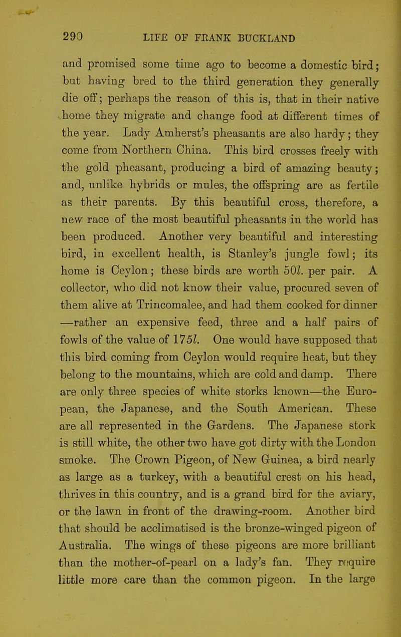 and promised some time ago to become a domestic bird; but having bred to tlie third generation they generally die off; perhaps the reason of this is, that in their native home they migrate and change food at different times of the year. Lady Amherst's pheasants are also hardy; they come from Northern China. This bird crosses freely with the gold pheasant, producing a bird of amazing beauty; and, unlike hybrids or mules, the offspring are as fertile as their parents. By this beautiful cross, therefore, a new race of the most beautiful pheasants in the world has been produced. Another very beautiful and interesting bird, in excellent health, is Stanley's jungle fowl; its home is Ceylon; these birds are worth 50Z. per pair. A collector, who did not know their value, procured seven of them alive at Trincomalee, and had them cooked for dinner —rather an expensive feed, three and a half pairs of fowls of the value of 1751. One would have supposed that this bird coming from Ceylon would require heat, but they belong to the mountains, which are cold and damp. There are only three species of white storks known—the Euro- pean, the Japanese, and the South American. These are all represented in the Gardens. The Japanese stork is still white, the other two have got dirty with the London smoke. The Crown Pigeon, of New Guinea, a bird nearly as large as a turkey, with a beautiful crest on his head, thrives in this country, and is a grand bird for the aviary, or the lawn in front of the drawing-room. Another bird that should be acclimatised is the bronze-winged pigeon of Australia. The wings of these pigeons are more brilliant than the mother-of-pearl on a lady's fan. They require little more care than the common pigeon. In the large