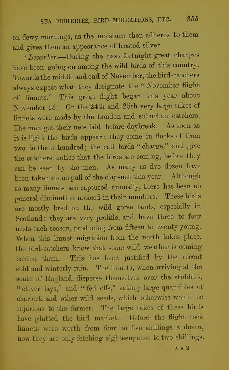 on clewy mornings, as the moisture then adheres to them and gives them an appearance of frosted silver. ' Decembff)'.—During the past fortnight great changes have been going on among the wild birds of this country. Towards the middle and end of November, the bird-catchers always expect what they designate the  November flight of linnets. This great flight began this year about November 15. On the 24th and 25th very large takes of linnets were made by the London and suburban catchers. The men get their nets laid before daybreak. As soon as it is light the birds appear : they come in flocks of from two to three hundred; the call birds charge, and give the catchers notice that the birds are coming, before they can be seen by the men. As many as five dozen have been taken at one pull of the clap-net this year. Although so many linnets are captured annually, there has been no general diminution noticed in their numbers. These birds are mostly bred on the wild gorse lands, especially in Scotland: they are veiy prolific, and have three to four nests each season, producing from fifteen to twenty young. When this linnet migration from the north takes place, the bird-catchers know that some wild weather is coming behind them. This has been justified by the recent cold and winterly rain. The linnets, when arriving at the south of England, disperse themselves over the stubbles, *' clover lays, and  fed ofis, eating large quantities of charlock and other wild seeds, which otherwise would be injurious to the farmer. The large takes of these birds have glutted the bird market. Before the flight cock linnets were worth from four to five shillings a dozen, now they are only fetching eighteenpence to two shillings.