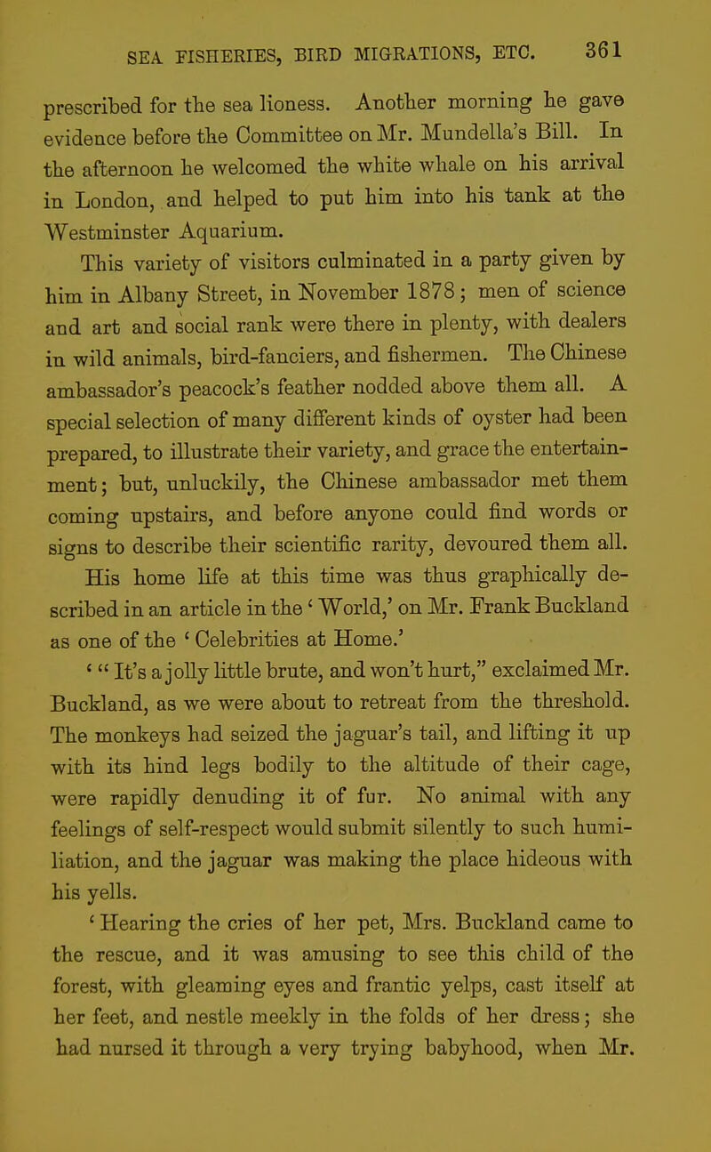 prescribed for the sea lioness. Another morning he gave evidence before the Committee on Mr. Mundella's Bill. In the afternoon he welcomed the white whale on his arrival in London, and helped to put him into his tank at the Westminster Aquarium. This variety of visitors culminated in a party given by him in Albany Street, in November 1878; men of science and art and social rank were there in plenty, with dealers in wild animals, bird-fanciers, and fishermen. The Chinese ambassador's peacock's feather nodded above them all. A special selection of many different kinds of oyster had been prepared, to illustrate their variety, and grace the entertain- ment; but, unluckily, the Chinese ambassador met them coming upstairs, and before anyone could find words or signs to describe their scientific rarity, devoured them all. His home life at this time was thus graphically de- scribed in an article in the' World,' on Mr. Frank Buckland as one of the ' Celebrities at Home.' '  It's a jolly little brute, and won't hurt, exclaimed Mr. Buckland, as we were about to retreat from the threshold. The monkeys had seized the jaguar's tail, and lifting it up with its hind legs bodily to the altitude of their cage, were rapidly denuding it of fur. No animal with any feelings of self-respect would submit silently to such humi- liation, and the jaguar was making the place hideous with his yells. ' Hearing the cries of her pet, Mrs. Buckland came to the rescue, and it was amusing to see this child of the forest, with gleaming eyes and frantic yelps, cast itself at her feet, and nestle meekly in the folds of her dress; she had nursed it through a very trying babyhood, when Mr.