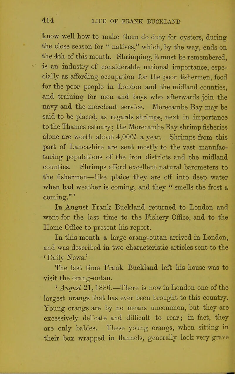 know well how to make tkem do duty for oysters, during tke close season for  natives, whick, by the way, ends on the 4th of this month. Shrimping, it must be remembered, is an industry of considerable national importance, espe- cially as affording occupation for the poor fishermen, food for the poor people in London and the midland counties, and training for men and boys who afterwards join the navy and the merchant service. Morecambe Bay may be said to be placed, as regards shrimps, next in importance to the Thames estuary; the Morecambe Bay shrimp fisheries alone are worth about 4,000Z. a year. Shrimps from this part of Lancashire are sent mostly to the vast manufac- turing populations of the iron districts and the midland counties. Shrimps afford excellent natural barometers to the fishermen—like plaice they are off into deep water when bad weather is coming, and they  smells the frost a coming.' In August Frank Buckland returned to London and went for the last time to the Fishery Office, and to the Home Office to present his report. In this month a large orang-outan arrived in London, and was described in two characteristic articles sent to the * Daily News.' The last time Frank Buckland left his house was to visit the orang-outan. ' August 21,1880.—There is now in London one of the largest orangs that has ever been brought to this country. Young orangs are by no means uncommon, but they are excessively delicate and difficult to rear; in fact, they are only babies. These young orangs, when sitting in their box wrapped in flannels, generally look very grave