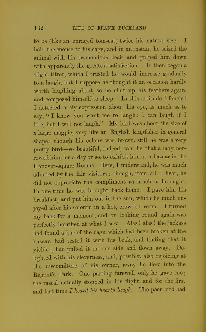 to be (like an enraged tom-cat) twice his natural size. I held the mouse to his cage, and in an instant he seized the animal with his tremendous beak, and gulped him down with apparently the greatest satisfaction. He then began a slight titter, which I trusted he would increase gradually to a laugh, but I suppose he thought it an occasion hardly worth laughing about, so he shut up his feathers again, 9.ad composed himself to sleep. In this attitude I fancied I detected a sly expression about his eye, as much as to say,  I know you want me to laugh; I can laugh if I like, but I will not laugh. My bird was about the size of a large magpie, very like an English kingfisher in general shape; though his colour was brown, still he was a very pretty bird—so beautiful, indeed, was he that a lady bor- rowed him, for a day or so, to exhibit him at a bazaar in the Hanover-square Eooms. Here, I understand, he was much admired by the fair visitors; though, from all I hear, he did not appreciate the compliment as much as he ought. In due time he was brought back home. I gave him his breakfast, and put him out in the sun, which he much en- joyed after his sojourn in a hot, crowded room. I turned my back for a moment, and on looking round again was perfectly horrified at what I saw. Alas ! alas ! the jackass had found a bar of the cage, which had been broken at the bazaar, had tested it with his beak, and finding that it yielded, had pulled it on one side and flown away. De- lio-hted with his cleverness, and, possibly, also rejoicing at the discomfiture of his owner, away he flew into the Regent's Park. One parting farewell only he gave me; the rascal actually stopped in his flight, and for the first and last time I hea/rd his hearty laxigh. The poor bird had