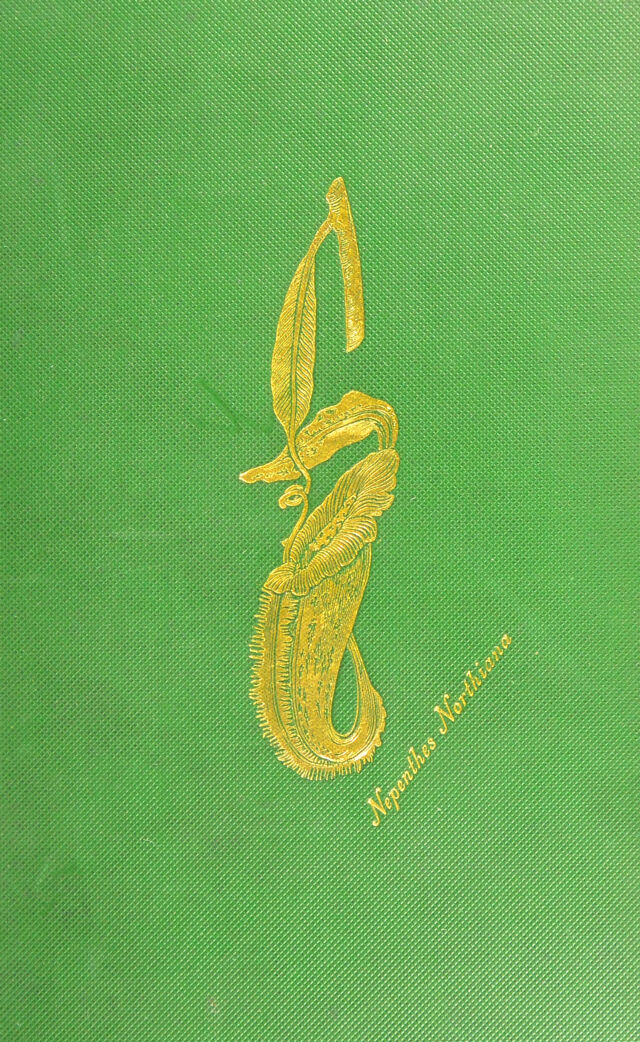 digitised image 1