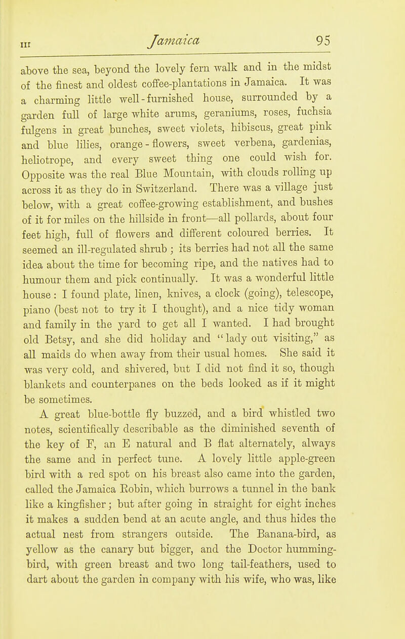 above the sea, beyond the lovely fern walk and in the midst of the finest and oldest coffee-plantations in Jamaica. It was a charming little well - furnished house, surrounded by a garden full of large white arums, geraniums, roses, fuchsia fulgens in great bunches, sweet violets, hibiscus, great pink and blue lilies, orange - flowers, sweet verbena, gardenias, heliotrope, and every sweet thing one could wish for. Opposite was the real Blue Mountain, with clouds rolling up across it as they do in Switzerland. There was a village just below, with a great coffee-growing establishment, and bushes of it for miles on the hillside in front—all pollards, about four feet high, full of flowers and different coloured berries. It seemed an ill-regulated shrub ; its berries had not all the same idea about the time for becoming ripe, and the natives had to humour them and pick continually. It was a wonderful little house: I found plate, linen, knives, a clock (going), telescope, piano (best not to try it I thought), and a nice tidy woman and family in the yard to get all I wanted. I had brought old Betsy, and she did holiday and  lady out visiting, as all maids do when away from their usual homes. She said it was very cold, and shivered, but I did not find it so, though blankets and counterpanes on the beds looked as if it might be sometimes. A great blue-bottle fly buzzed, and a bird whistled two notes, scientifically describable as the diminished seventh of the key of F, an E natural and B flat alternately, always the same and in perfect tune. A lovely little apple-green bird with a red spot on his breast also came into the garden, called the Jamaica Eobin, which burrows a tunnel in the bank like a kingfisher; but after going in straight for eight inches it makes a sudden bend at an acute angle, and thus hides the actual nest from strangers outside. The Banana-bird, as yellow as the canary but bigger, and the Doctor humming- bird, with green breast and two long tail-feathers, used to dart about the garden in company with his wife, who was, like