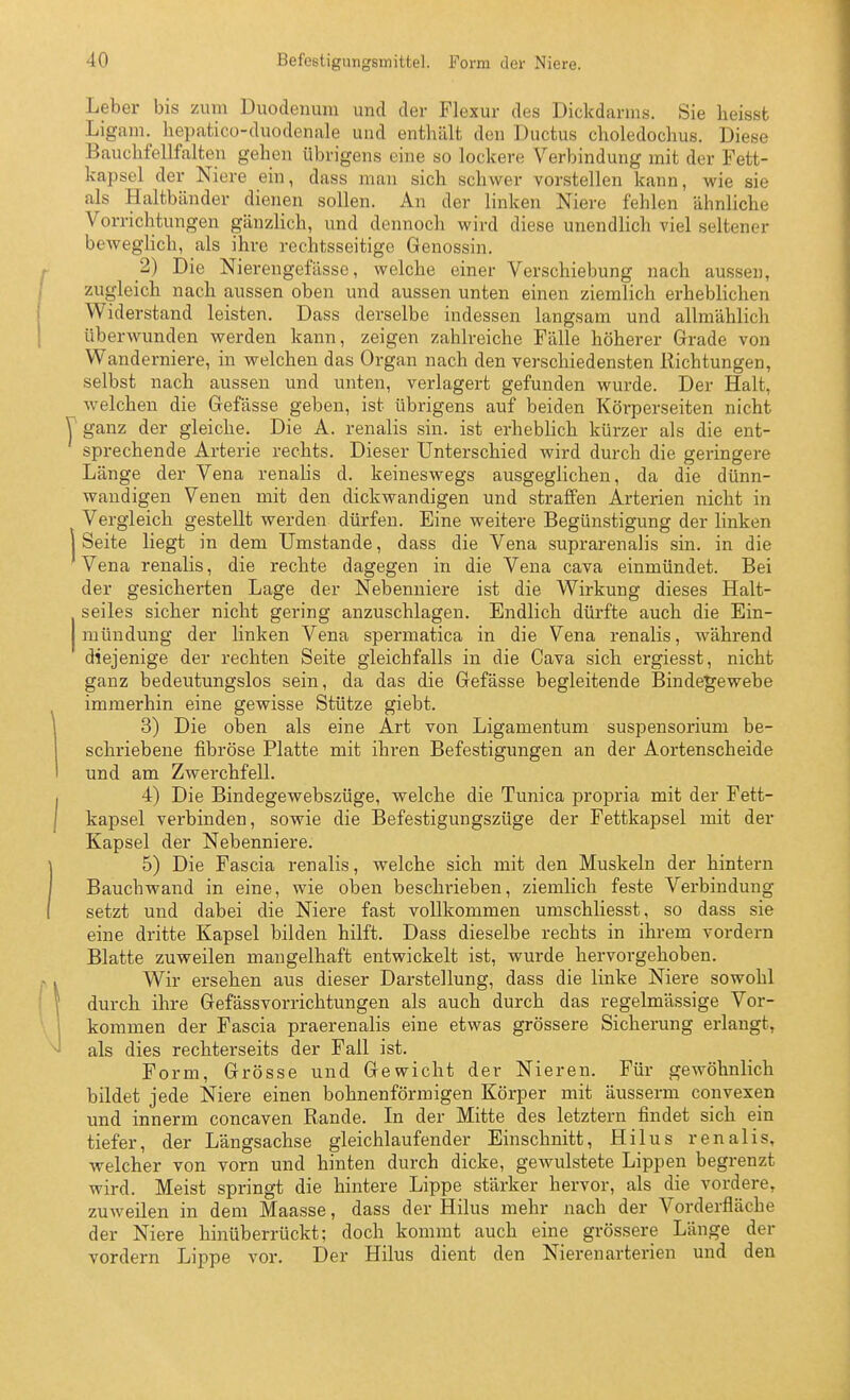 Leber bis zum Duodenum und der Flexur des Dickdarms. Sie heisst Ligam._ hepatico-duodenale und enthält den Ductus choledochus. Diese Bauclifellfalten gehen übrigens eine so lockere Verbindung mit der Fett- kapsel der Niere ein, dass man sich schwer vorstellen kann, wie sie als Haltbänder dienen sollen. An der linken Niere fehlen ähnliche Vorrichtungen gänzlich, und dennoch wird diese unendlich viel seltener beweglich, als ihre rechtsseitige Genossin. 2) Die Nierengefässe, welche einer Verschiebung nach aussen, zugleich nach aussen oben und aussen unten einen ziemlich erheblichen Widerstand leisten. Dass derselbe indessen langsam und allmählich überwunden werden kann, zeigen zahlreiche Fälle höherer Grade von Wanderniere, in welchen das Organ nach den verschiedensten Richtungen, selbst nach aussen und unten, verlagert gefunden wurde. Der Halt, welchen die Gefässe geben, ist übrigens auf beiden Körperseiten nicht ganz der gleiche. Die A. renalis sin. ist erheblich kürzer als die ent- sprechende Arterie rechts. Dieser Unterschied wird durch die geringere Länge der Vena renalis d. keineswegs ausgeglichen, da die dünn- wandigen Venen mit den dickwandigen und straffen Arterien nicht in Vergleich gestellt werden dürfen. Eine weitere Begünstigung der linken Seite liegt in dem Umstände, dass die Vena suprarenalis sin. in die Vena renalis, die rechte dagegen in die Vena cava einmündet. Bei der gesicherten Lage der Nebenniere ist die Wirkung dieses Halt- seiles sicher nicht gering anzuschlagen. Endlich dürfte auch die Ein- mündung der linken Vena spermatica in die Vena renalis, während diejenige der rechten Seite gleichfalls in die Cava sich ergiesst, nicht ganz bedeutungslos sein, da das die Gefässe begleitende Bindegewebe immerhin eine gewisse Stütze giebt. 3) Die oben als eine Art von Ligamentum Suspensorium be- schriebene fibröse Platte mit ihren Befestigungen an der Aortenscheide und am Zwerchfell. 4) Die Bindegewebszüge, welche die Tunica propria mit der Fett- kapsel verbinden, sowie die Befestigungszüge der Fettkapsel mit der Kapsel der Nebenniere. 5) Die Fascia renalis, welche sich mit den Muskeln der hintern Bauchwand in eine, wie oben beschrieben, ziemlich feste Verbindung setzt und dabei die Niere fast vollkommen umschliesst, so dass sie eine dritte Kapsel bilden hilft. Dass dieselbe rechts in ihrem vordem Blatte zuweilen mangelhaft entwickelt ist, wurde hervorgehoben. Wir ersehen aus dieser Darstellung, dass die linke Niere sowohl durch ihre Gefässvorrichtungen als auch durch das regelmässige Vor- kommen der Fascia praerenalis eine etwas grössere Sicherung erlangt, als dies rechterseits der Fall ist. Form, Grösse und Gewicht der Nieren. Für gewöhnlich bildet jede Niere einen bohnenförmigen Körper mit äusserm convexen und innerm concaven Rande. In der Mitte des letztern findet sich ein tiefer, der Längsachse gleichlaufender Einschnitt, Hilus renalis, welcher von vorn und hinten durch dicke, gewulstete Lippen begrenzt wird. Meist springt die hintere Lippe stärker hervor, als die vordere, zuweilen in dem Maasse, dass der Hilus mehr nach der Vorderfläche der Niere hinüberrückt; doch kommt auch eine grössere Länge der vordem Lippe vor. Der Hilus dient den Nierenarterien und den