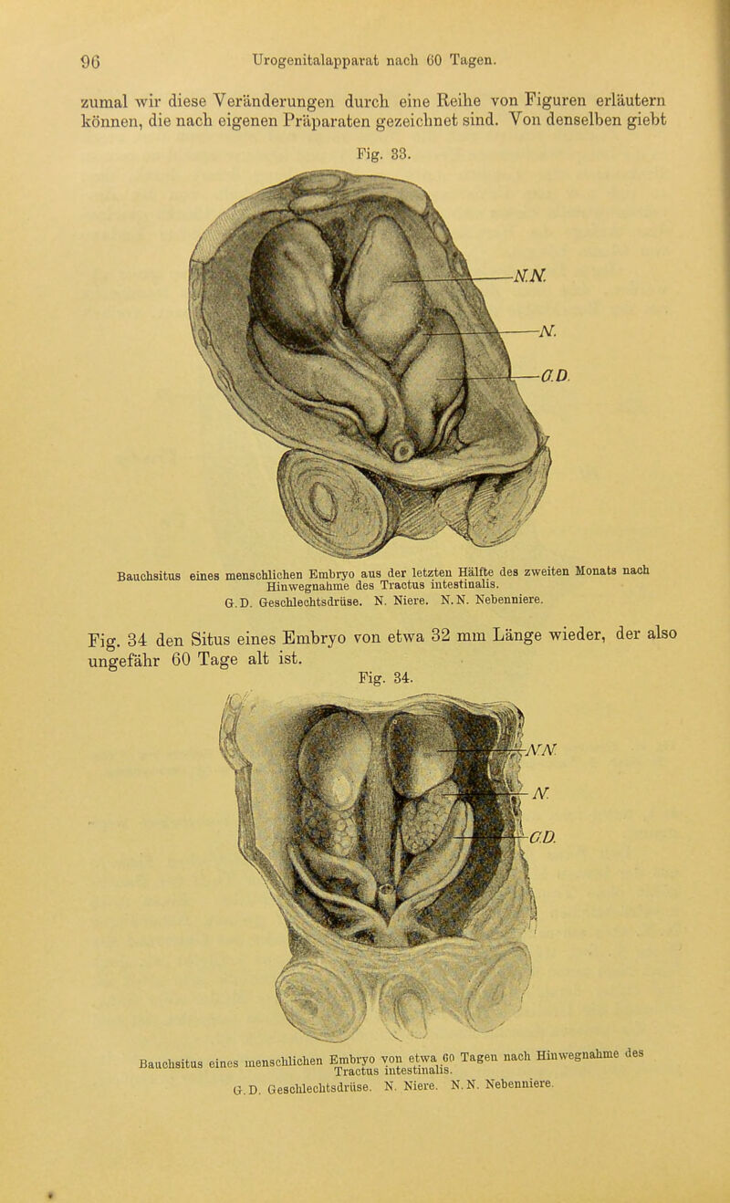 zumal wir diese Veränderungen durch eine Reilie von Figuren erläutern können, die nach eigenen Präparaten gezeichnet sind. Von denselben giebt Fig. 33. Bauchsitus eines menschlichen Embryo aus der letzten Hälfte des zweiten Monats nach Hin wegnähme des Tractus intestinalis. G.D. Geschlechtsdrüse. N. Niere. N.N. Nebenniere. Fig. 34 den Situs eines Embryo von etwa 32 mm Länge wieder, der also ungefähr 60 Tage alt ist. Fig. 34. Bauchsitus eines menschlichen ^^^J^ ^^^^^ a. D. Gesolüechtsdrüse. N. Niere. N. N. Nebenniere.