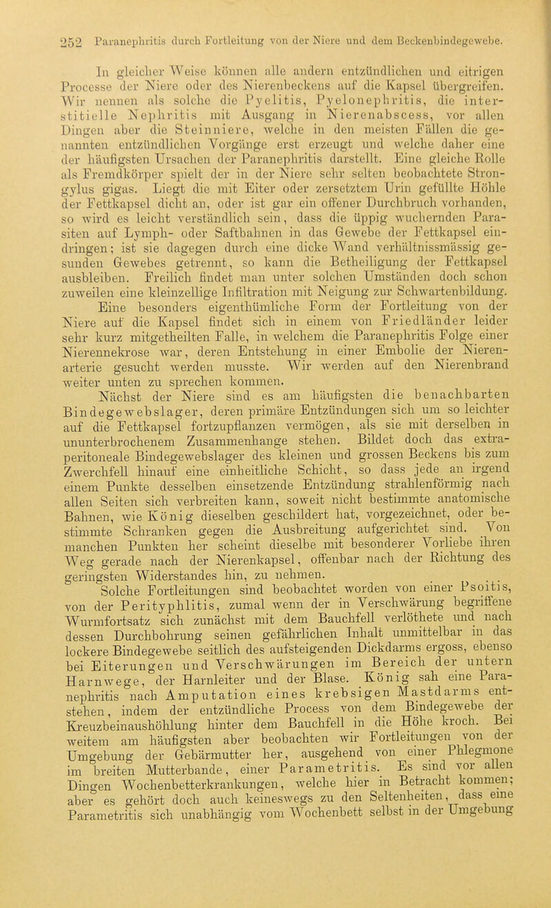 In gleiclier Weise können alle andern entzündlichen und eitrigen Processe der Niere oder des Nierenbeckens auf die Kapsel übergreifen. Wir nennen als solche die l'yelitis, Pyelonephritis, die inter- stitielle Nephritis mit Ausgang in Nierenabscess, vor allen Dingen aber die Steinniere, welche in den meisten Fällen die ge- nannten entzündlichen Vorgänge erst erzeugt und welche daher eine der häufigsten Ursachen der Paranephritis darstellt. Eine gleiche Rolle als Fremdkörper spielt der in der Niero sehr selten beobachtete Stron- gylus gigas. Liegt die mit Eiter oder zersetztem Urin gefüllte Höhle der Fettkapsel dicht an, oder ist gar ein offener Durchbruch vorhanden, so wird es leicht verständlich sein, dass die üppig wuchernden Para- siten auf Lymph- oder Saftbahnen in das Gewebe der Fettkapsel ein- dringen; ist sie dagegen durch eine dicke Wand verhältnissmässig ge- sunden Gewebes getrennt, so kann die Betheiligung der Fettkapsel ausbleiben. Freilich findet man unter solchen Umständen doch schon zuweilen eine kleinzellige Infiltration mit Neigung zur Schwartenbildung. Eine besonders eigenthümliche Form der Fortleitung von der Niere auf die Kapsel findet sich in einem von Friedländer leider sehr kurz mitgetheilten Falle, in welchem die Paranephritis Folge einer Nierennekrose war, deren Entstehung in einer Embolie der Nieren- arterie gesucht werden musste. Wir werden auf den Nierenbraud weiter unten zu sprechen kommen. Nächst der Niere sind es am häufigsten die benachbarten Bindegewebslager, deren primäre Entzündungen sich um so leichter auf die Fettkapsel fortzupflanzen vermögen, als sie mit derselben in ununterbrochenem Zusammenhange stehen. Bildet doch das exti-a- peritoneale Bindegewebslager des kleinen und grossen Beckens bis zum Zwerchfell hinauf eine einheithche Schicht, so dass jede an irgend einem Punkte desselben einsetzende Entzündung strahlenförmig nach allen Seiten sich verbreiten kann, soweit nicht bestimmte anatomische Bahnen, wie König dieselben geschildert hat, vorgezeichnet, oder be- stimmte Schranken gegen die Ausbreitung aufgerichtet sind. Von manchen Punkten her scheint dieselbe mit besonderer Vorliebe ihren Weg gerade nach der Nierenkapsel, offenbar nach der Richtung des geringsten Widerstandes hin, zu nehmen. _ _ Solche Fortleitungen sind beobachtet worden von einer Psoitis, von der Perityphlitis, zumal wenn der in Verschwärung begriffene Wurmfortsatz sich zunächst mit dem Bauchfell verlöthete und nach dessen Durchbohrung seinen gefährlichen Inhalt unmittelbar ni das lockere Bindegewebe seitlich des aufsteigenden Dickdarms ergoss, ebenso bei Eiterungen und Verschwärungen im Bereich der untern Harnwege, der Harnleiter und der Blase. König sah eme Para- nephritis nach Amputation eines krebsigen Mastdarms ent- stehen, indem der entzündHche Process von dem Bmdegewebe der Ki-euzbeinaushöhlung hinter dem Bauchfell in die Höhe kroch. Bei weitem am häufigsten aber beobachten wir Fortleitungen von der Umgebung der Gebärmutter her, ausgehend von einer Phlegmone im breiten Mutterbande, einer Parametritis. Es sind vor allen Dingen Wochenbetterkraiikungen, welche hier in Betracht kommen; aber es gehört doch auch keineswegs zu den Seltenheiten, dass eine Parametritis sich unabhängig vom Wochenbett selbst m der Umgebung