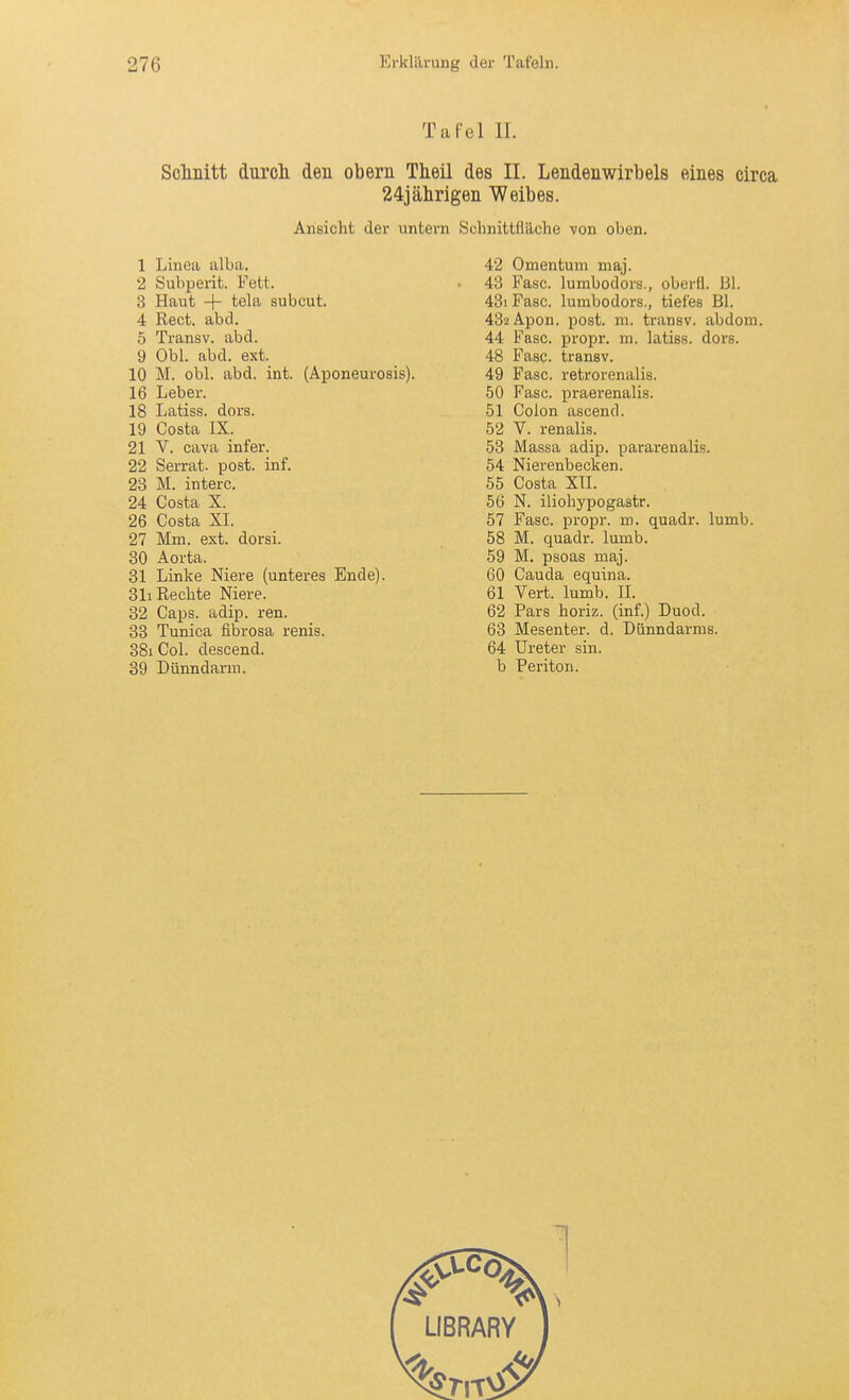 Tafel II. Sclinitt durcli den obem Theil des II. Lendenwirbels eines circa 24jälirigen Weibes. Ansicht der untern Schnittfläche von oben. 1 Linea alba. 2 Subperit. Fett. 3 Haut + tela subcut. 4 Rect. abd. 5 TransV. abd. 9 Obl. abd. ext. 10 M. obl. abd. int. (Aponeurosis). 16 Leber. 18 Latiss. dors. 19 Costa IX. 21 V. Cava infer. 22 Serrat. post. inf. 23 M. interc. 24 Costa X. 26 Costa XL 27 Mm. ext. dorsi. 30 Aorta. 31 Linke Niere (unteres Ende). 31i Rechte Niere. 32 Caps. adip. ren. 33 Tunica fibrosa renis. 38i Col. descend. 42 Omentum maj. 43 Fase, lumbodors., obertt. Bl. 431 Fase, lumbodors., tiefes Bl. 432 Apon. post. m. transv. abdom. 44 Fase, propr. m. latiss. dors. 48 Fase, transv. 49 Fase, retrorenalis. 50 Fase, praerenalis. 51 Colon ascend. 52 V. renalis. 53 Massa adip. pararenalis. 54 Nierenbecken. 55 Costa XII. 56 N. iliohypogastr. 57 Fase, propr. m. quadr. lumb. 58 M. quadr. lumb. 59 M. psoas maj. 60 Cauda equina. 61 Vert. lumb. II. 62 Pars horiz. (inf.) Duod. 63 Mesenter. d. Dünndarms. 64 Ureter sin.