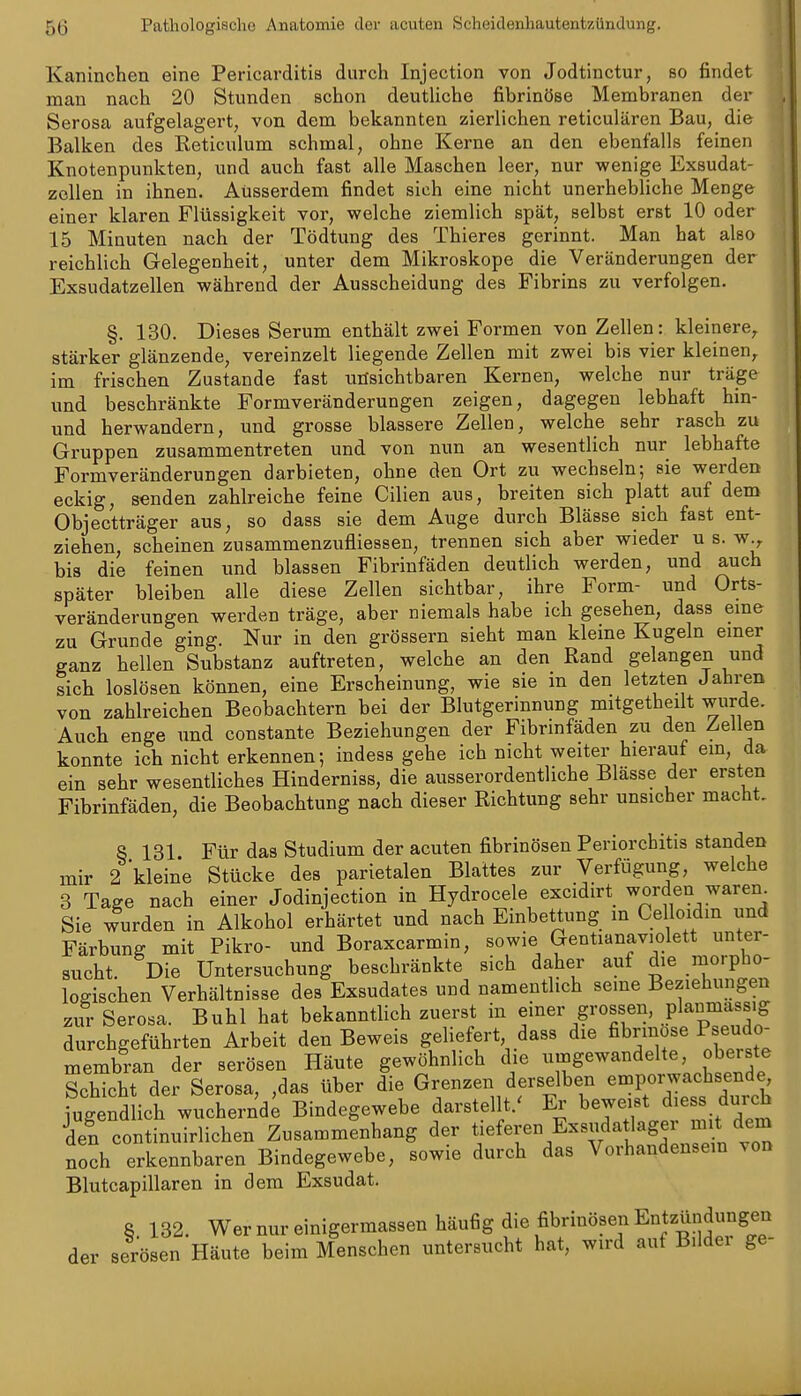 Kaninchen eine Pericarditis durch Injection von Jodtinctur, so findet man nach 20 Stunden schon deutliche fibrinöse Membranen der Serosa aufgelagert, von dem bekannten zierlichen reticulären Bau, die Balken des Reticulum schmal, ohne Kerne an den ebenfalls feinen Knotenpunkten, und auch fast alle Maschen leer, nur wenige Exsudat- zollen in ihnen. Ausserdem findet sich eine nicht unerhebliche Menge einer klaren Flüssigkeit vor, welche ziemlich spät, selbst erst 10 oder 15 Minuten nach der Tödtung des Thieres gerinnt. Man hat also reichlich Gelegenheit, unter dem Mikroskope die Veränderungen der Exsudatzellen während der Ausscheidung des Fibrins zu verfolgen. §. 130. Dieses Serum enthält zwei Formen von Zellen: kleinere,, stärker glänzende, vereinzelt liegende Zellen mit zwei bis vier kleinen^ im frischen Zustande fast utisichtbaren Kernen, welche nur träge und beschränkte Formveränderungen zeigen, dagegen lebhaft hin- und herwandern, und grosse blassere Zellen, welche sehr rasch zu Gruppen zusammentreten und von nun an wesentlich nur lebhafte Formveränderungen darbieten, ohne den Ort zu wechseln; sie werden eckig, senden zahlreiche feine Cilien aus, breiten sich platt auf dem Objectträger aus, so dass sie dem Auge durch Blässe sich fast ent- ziehen, scheinen zusammenzufliessen, trennen sich aber wieder u s. w.^ bis die feinen und blassen Fibrinfäden deutlich werden, und auch später bleiben alle diese Zellen sichtbar, ihre Form- und Orts- veränderungen werden träge, aber niemals habe ich gesehen, dass eme zu Grunde ging. Nur in den grössern sieht man kleine Kugeln emer ganz hellen Substanz auftreten, welche an den Rand gelangen und sich loslösen können, eine Erscheinung, wie sie in den letzten Jahren von zahlreichen Beobachtern bei der Blutgerinnung mitgetheilt wurde. Auch enge und constante Beziehungen der Fibrinfäden zu den Zellen konnte ich nicht erkennen; indess gehe ich nicht weiter hieraut em, da ein sehr wesentliches Hinderniss, die ausserordentliche Blässe der ersten Fibrinfäden, die Beobachtung nach dieser Richtung sehr unsicher macht. S 131 Für das Studium der acuten fiibrinösen Periorchitis standen mir 2 kleine Stücke des parietalen Blattes zur Verfügung, welche 3 Tage nach einer Jodinjection in Hydrocele excidirt worden waren^ Sie wurden in Alkohol erhärtet und nach Einbettung in Celloidm und Färbung mit Pikro- und Boraxcarmin, sowie Gentianaviolett unter- sucht. Die Untersuchung beschränkte sich daher auf die morpho- logischen Verhältnisse des Exsudates und namentlich seine Beziehungen zm- Serosa. Buhl hat bekanntlich zuerst in einer grossen, planmassig durchgeführten Arbeit den Beweis geliefert dass die fibrinöse Pseudo- membran der serösen Häute gewöhnlich die umgewandelte, oberste Schicht der Serosa, ,das über die Grenzen derselben emporwachsende, fugend ich wuchernd; Bindegewebe darstellt.' Er beweist d.ess durch Tn continuirlichen Zusammenhang der tieferen Exsudatlager n^t dem noch erkennbaren Bindegewebe, sowie durch das Vorhandensein von Blutcapillaren in dem Exsudat. 8 132. Wernureinigermassen häufig die fibrinösen Entzündungen der serösen Häute beim Menschen untersucht hat, wird auf B.ldei ge-