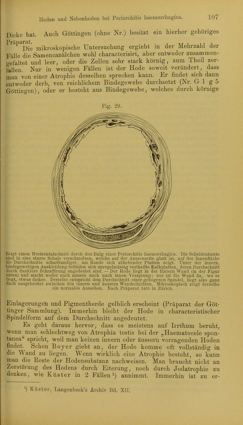 Dicke hat. Auch Göttmgen (ohne Nr.) besitzt ein hierher gehöriges Präparat ^.j^^.^gj^^pjg^j^^g Untersuchung ergiebt in der Mehrzahl der Fälle die Samencanälchen wohl characterisirt, aber entweder zusammen- o-efaltet und leer, oder die Zellen sehr stark körnig, zum Theil zer- fallen. Nur in wenigen Fällen ist der Hode soweit verändert, dass man von einer Atrophie desselben sprechen kann. Er findet sich dann entweder derb, von reichlichem Bindegewebe durchsetzt (Nr. G 1 g 5 Göttingen), oder er besteht aus Bindegewebe, welches durch körnige Fig. 29. Zeigt einen Horizontalschnitt duroh den Balg einer PerioroMtis liaeniorrhagica. Die Sclieiclenhäute sind in eine starre Schale verschmolzen, welche auf der Ansseuseite glatt ist, auf der Innenfläche die Durchschuitte scharfrandiger, am Bande sich abhebender Platten zeigt. Unter der imiem, bindegewebigen Auskleidung befinden sich unregelmässig vertheilte Kalkplatten, deren Durchschnitt durch dunklere Schrafflrung angedeutet sind. — Der Hüde liegt in der hintern Wand (in der Figur unten) und macht weder nach aussen noch nach innen Vorsprung; nur ist die Wand da, wo er liegt, etwas dicker. Derselbe entspricht dem Durchschnitt einer gebogenen Spindel, liegt also ganz flach ausgebreitet zwischen den innern und äussern Wandschichten. Milcroskopisch zeigt derselbe ein normales Aussehen. Nach Präparat ld05 in Zürich. EinlagerimgeYi und Pigmentherde gelblich erscheint (Präparat der Göt- tinger Sammlung). Immerhin bleibt der Hode in characteristischer Spindelform auf dem Durchschnitt angedeutet. Es geht daraus hervor, dass es meistens auf Irrthum beruht, wenn man schlechtweg von Atrophia testis bei der „Haematocele spon- tanea spricht, weil man keinen innern oder äussern vorragenden Hoden findet. Schon Boy er giebt an, der Hode komme oft vollständig in die Wand zu liegen. Wenn wirklich eine Atrophie besteht, so kann man die Reste der Hodensubstanz nachweisen. Man braucht nicht an Zerstörung des Hodens durch Eiterung, noch durch Jodatrophie zu denken, wie Küster in 2 Fällen *) annimmt. Immerhin ist zu er- ') Küster, Langenbeck's Archiv Bd. XII.